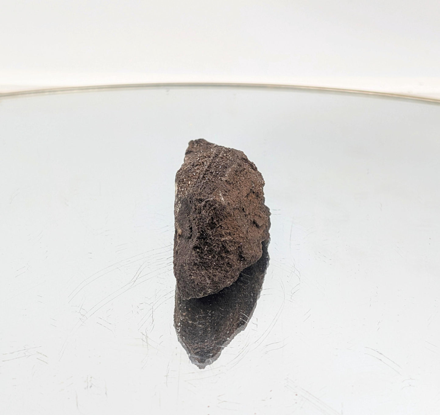 A fossilized wood specimen with stunning crystallized quartz druzy.