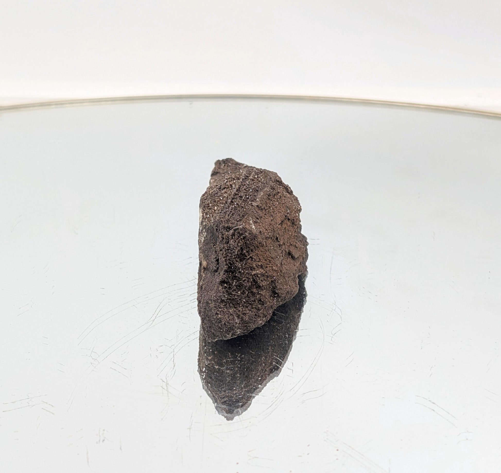 A fossilized wood specimen with stunning crystallized quartz druzy.