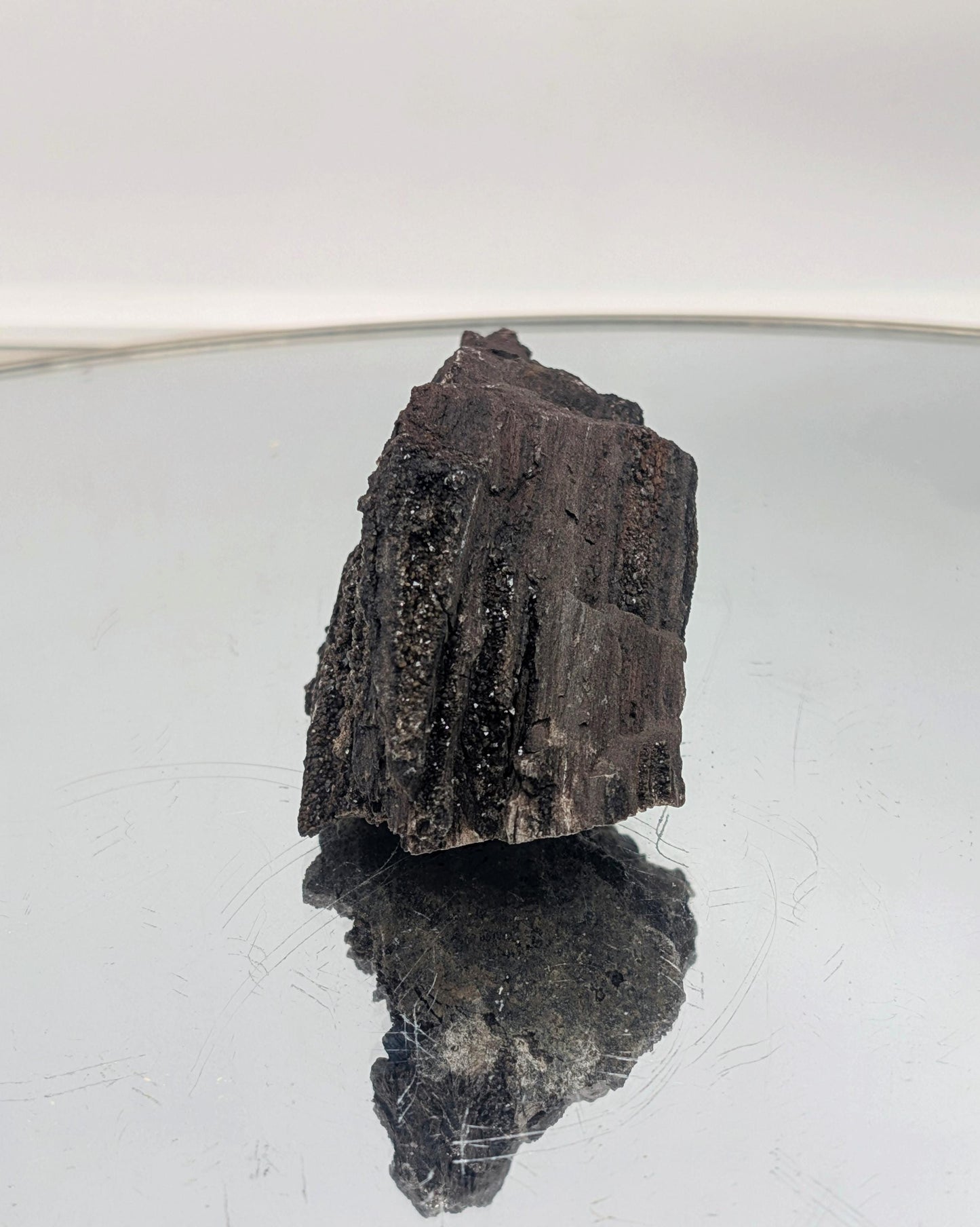 A fossilized wood specimen with stunning crystallized quartz druzy.