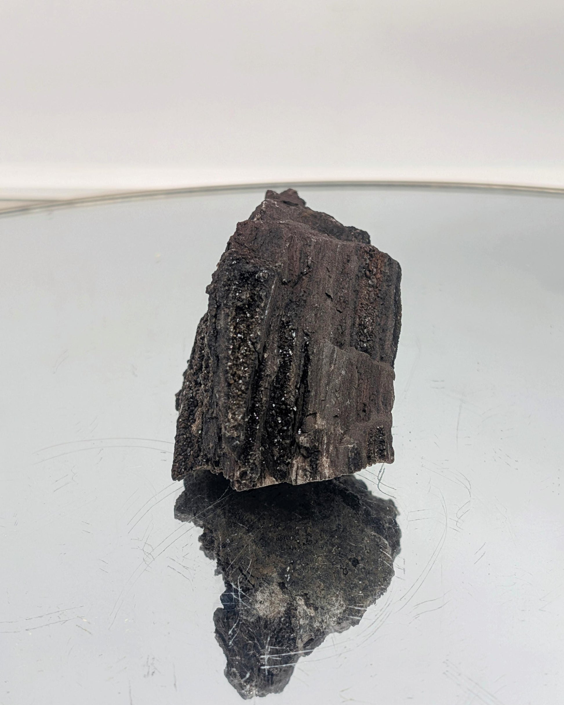 A fossilized wood specimen with stunning crystallized quartz druzy.