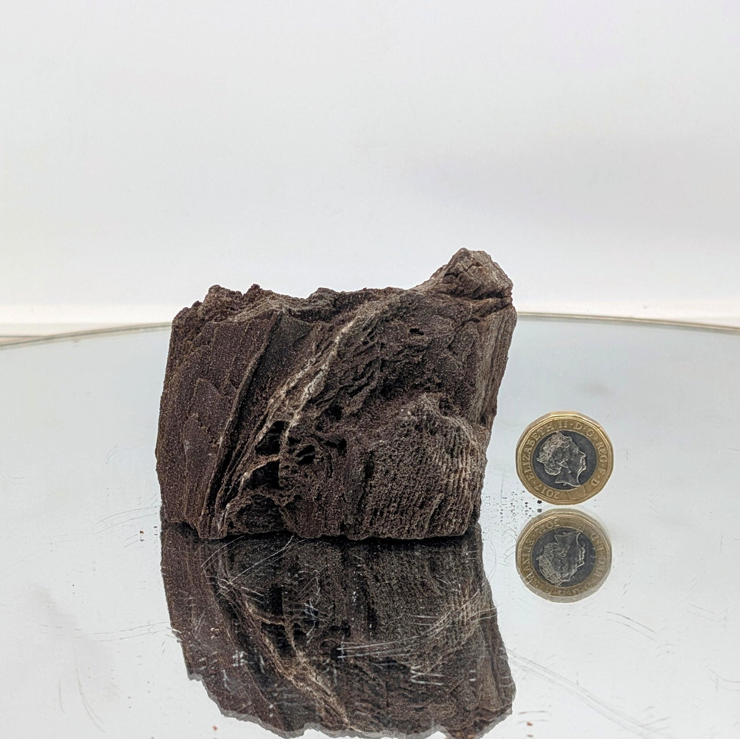 A designer decor piece—natural petrified wood with quartz druzy.