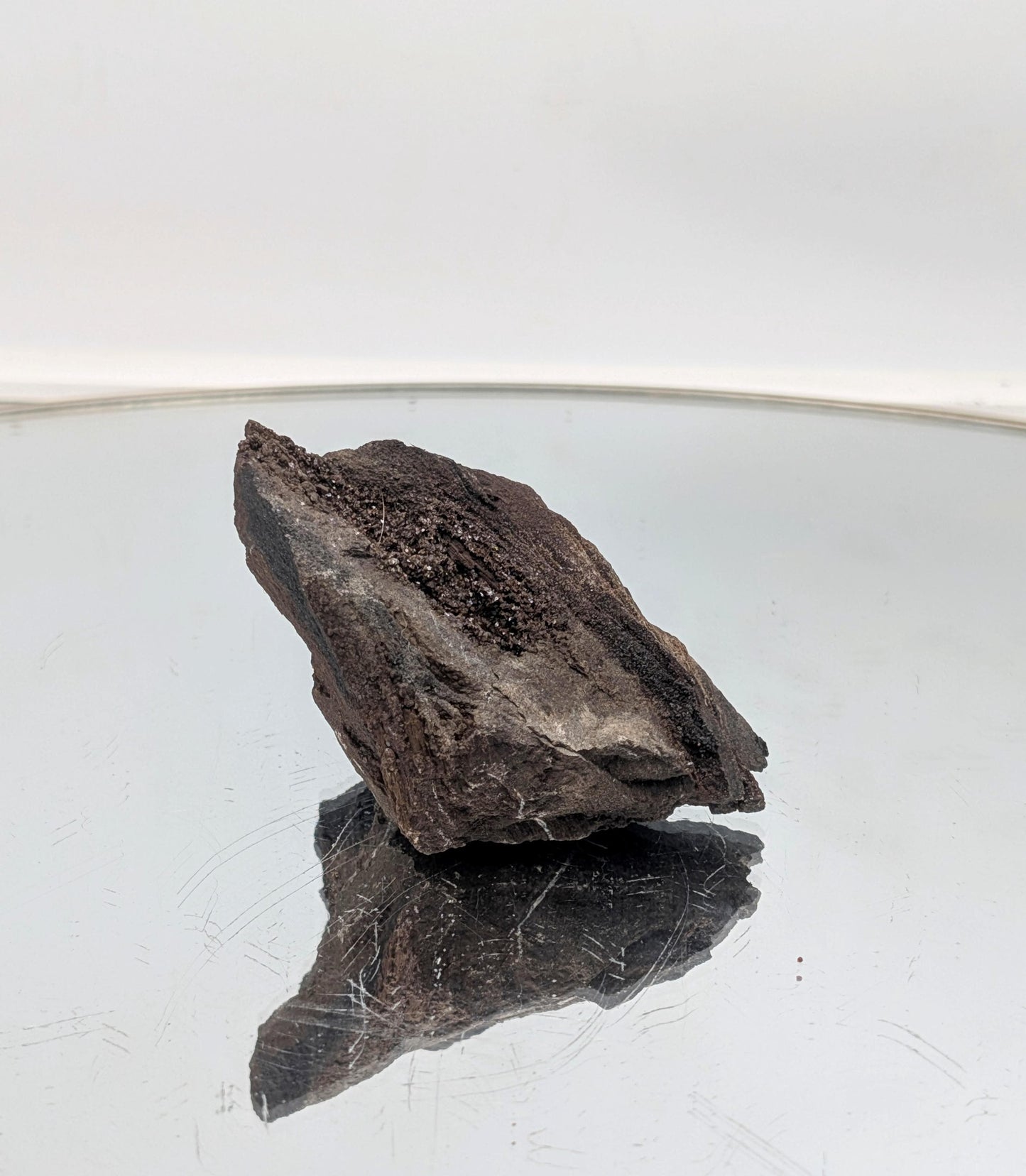 A beautifully preserved petrified wood display piece featuring quartz druzy.