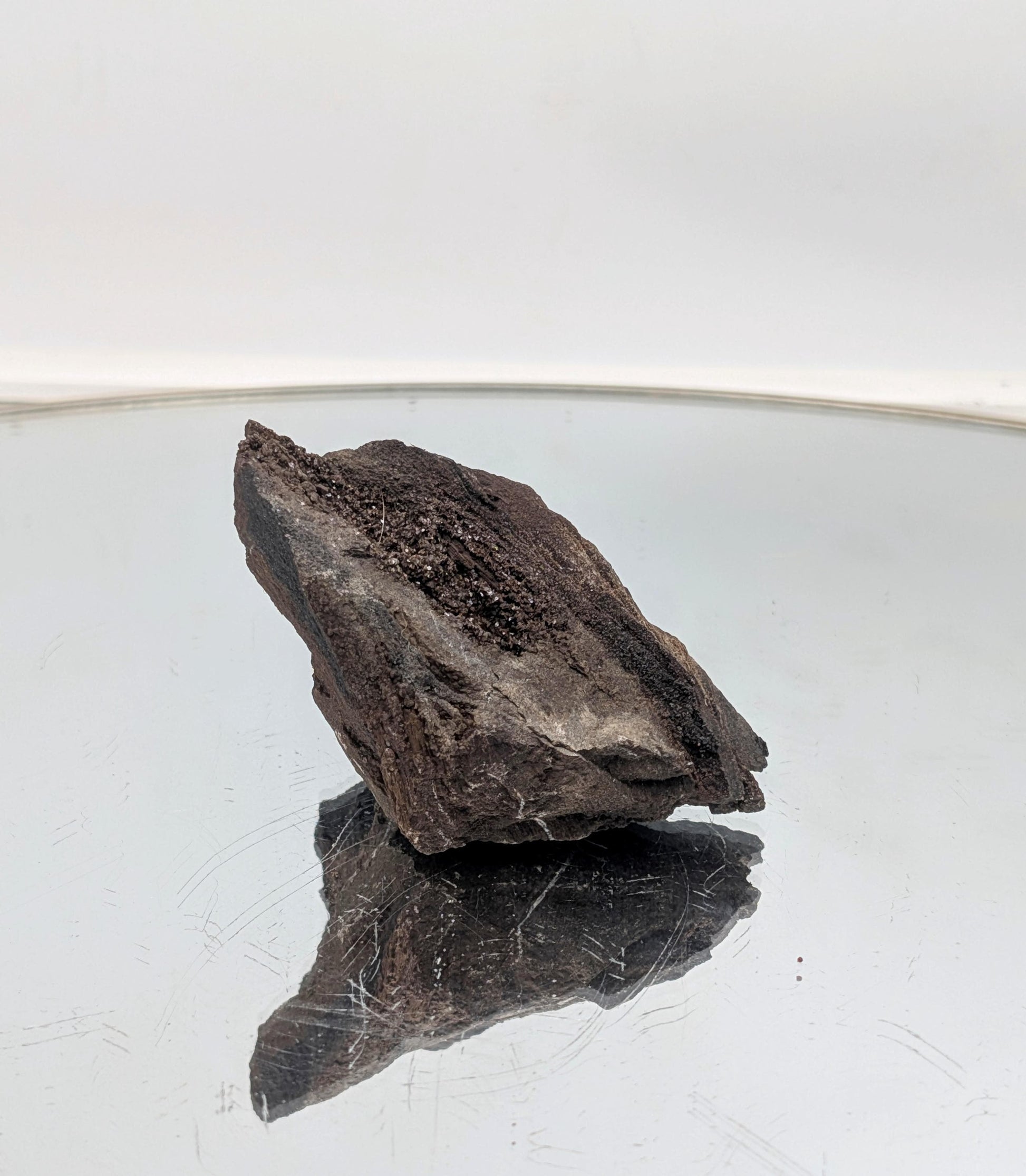 A beautifully preserved petrified wood display piece featuring quartz druzy.