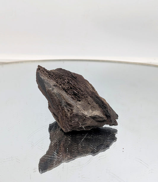 A beautifully preserved petrified wood display piece featuring quartz druzy.