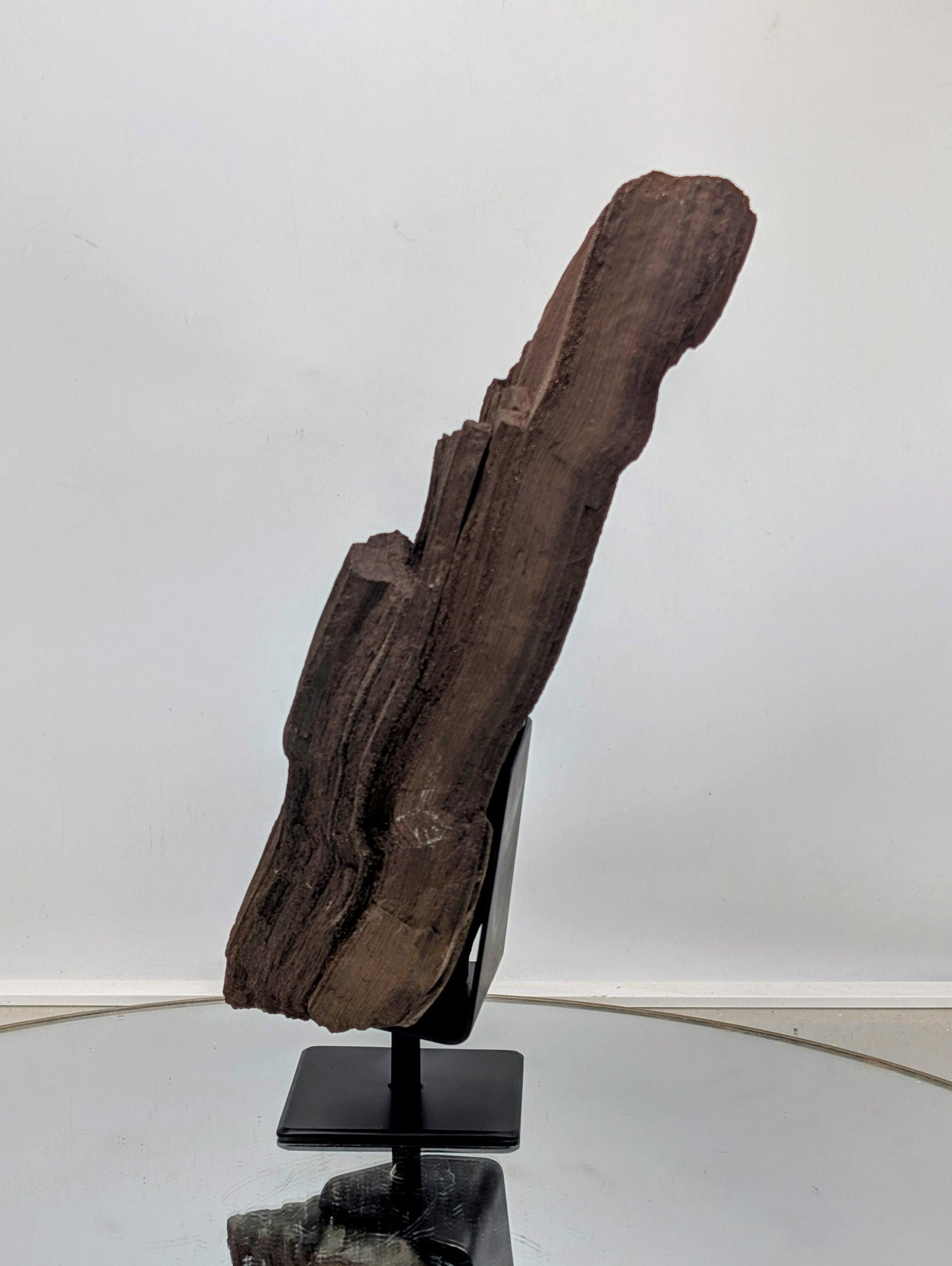 A fascinating fossil mineral—petrified wood with quartz druzy.