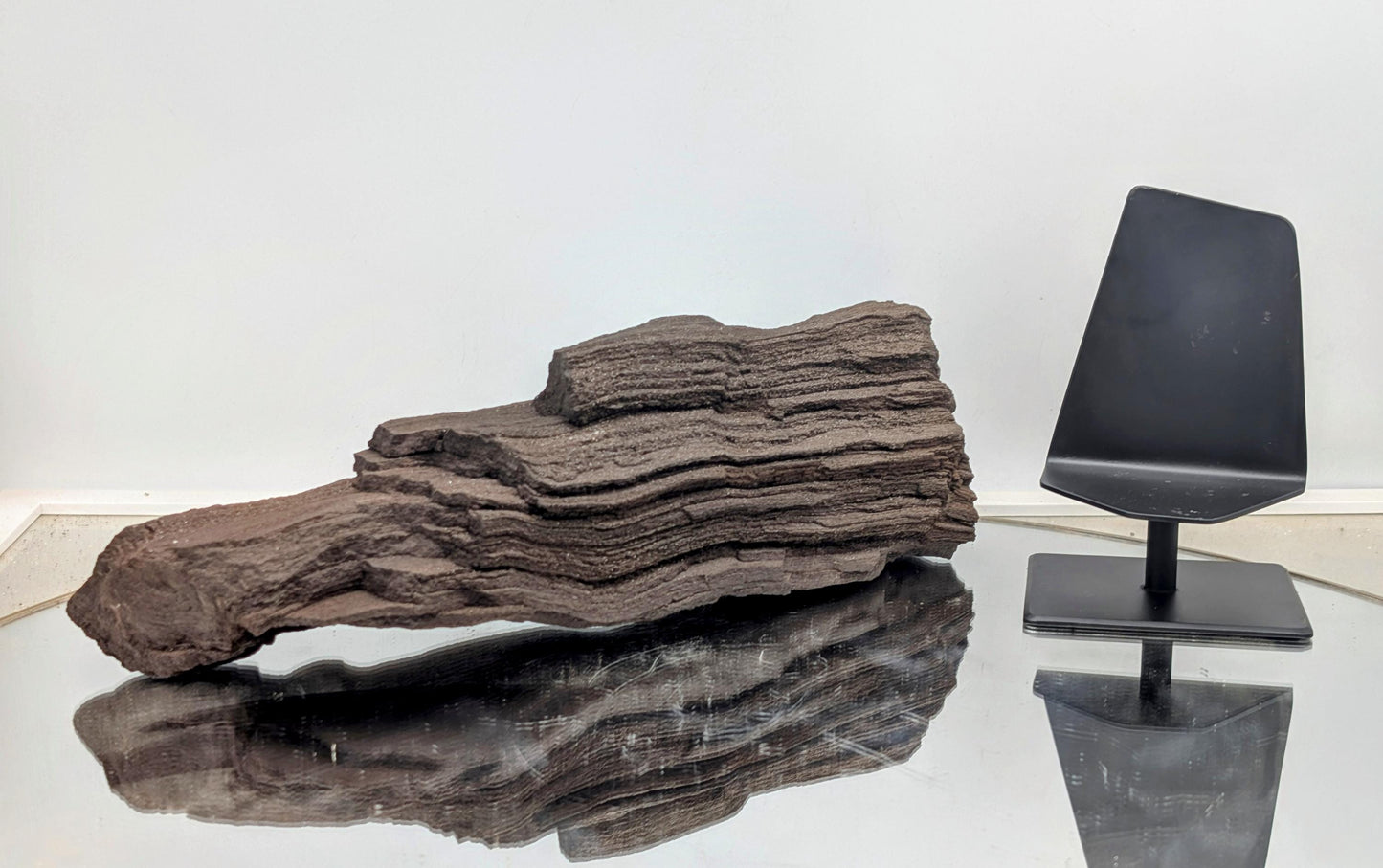 A fossilized gem—petrified wood featuring quartz druzy crystals.