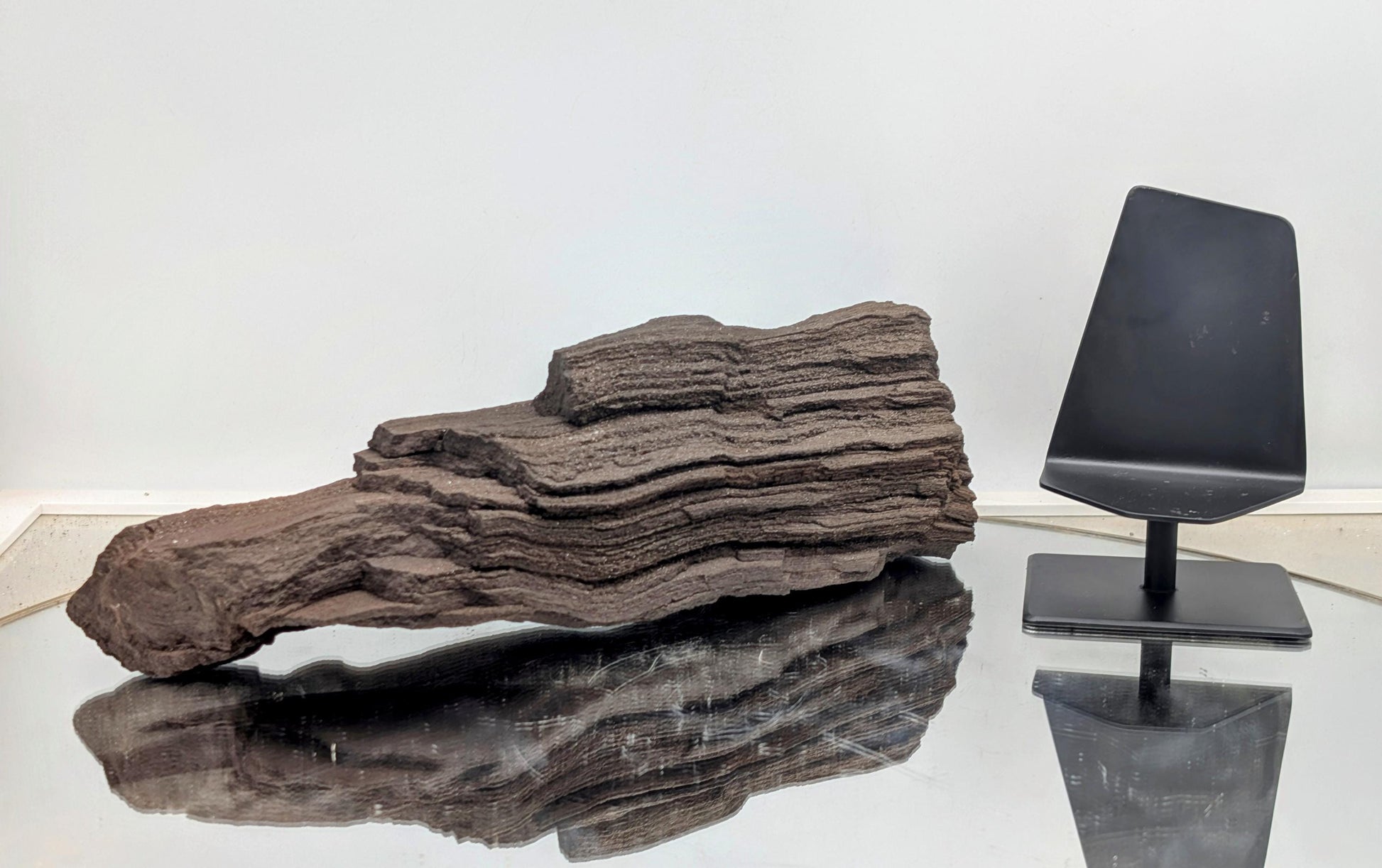 A fossilized gem—petrified wood featuring quartz druzy crystals.