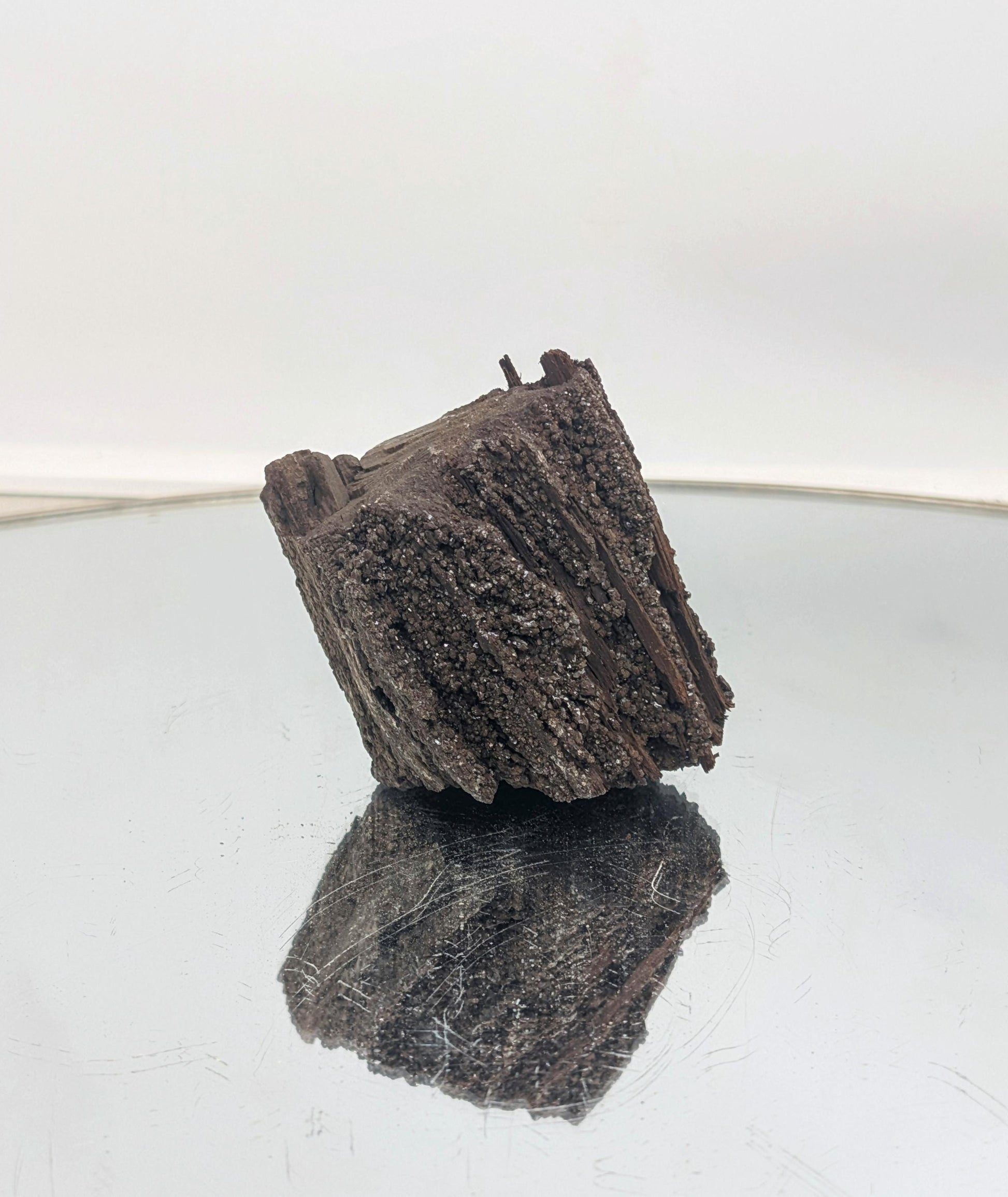 A premium geology collectible—petrified wood with druzy quartz.