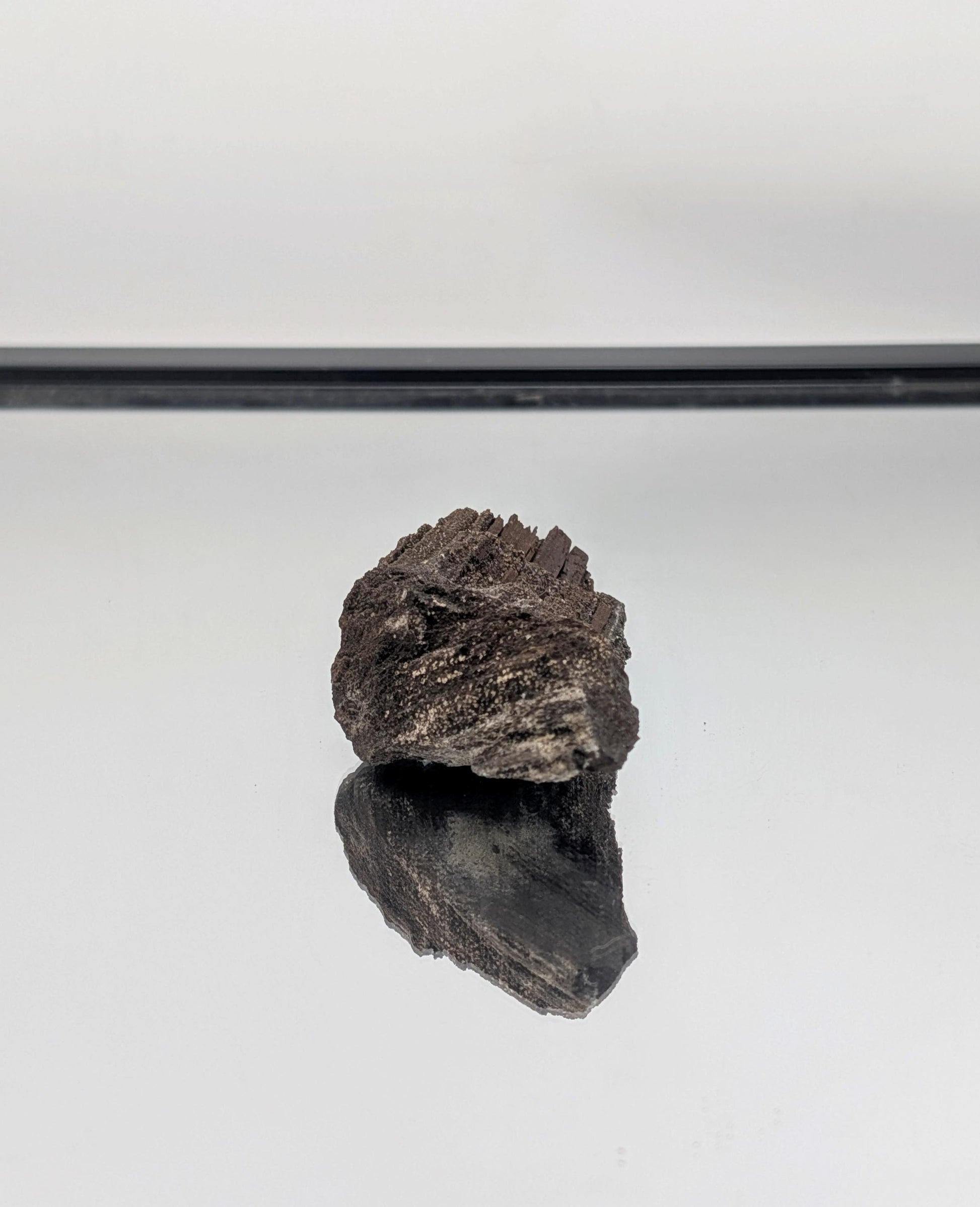 tunning petrified wood with quartz druzy from Germany, a rare collector’s piece.