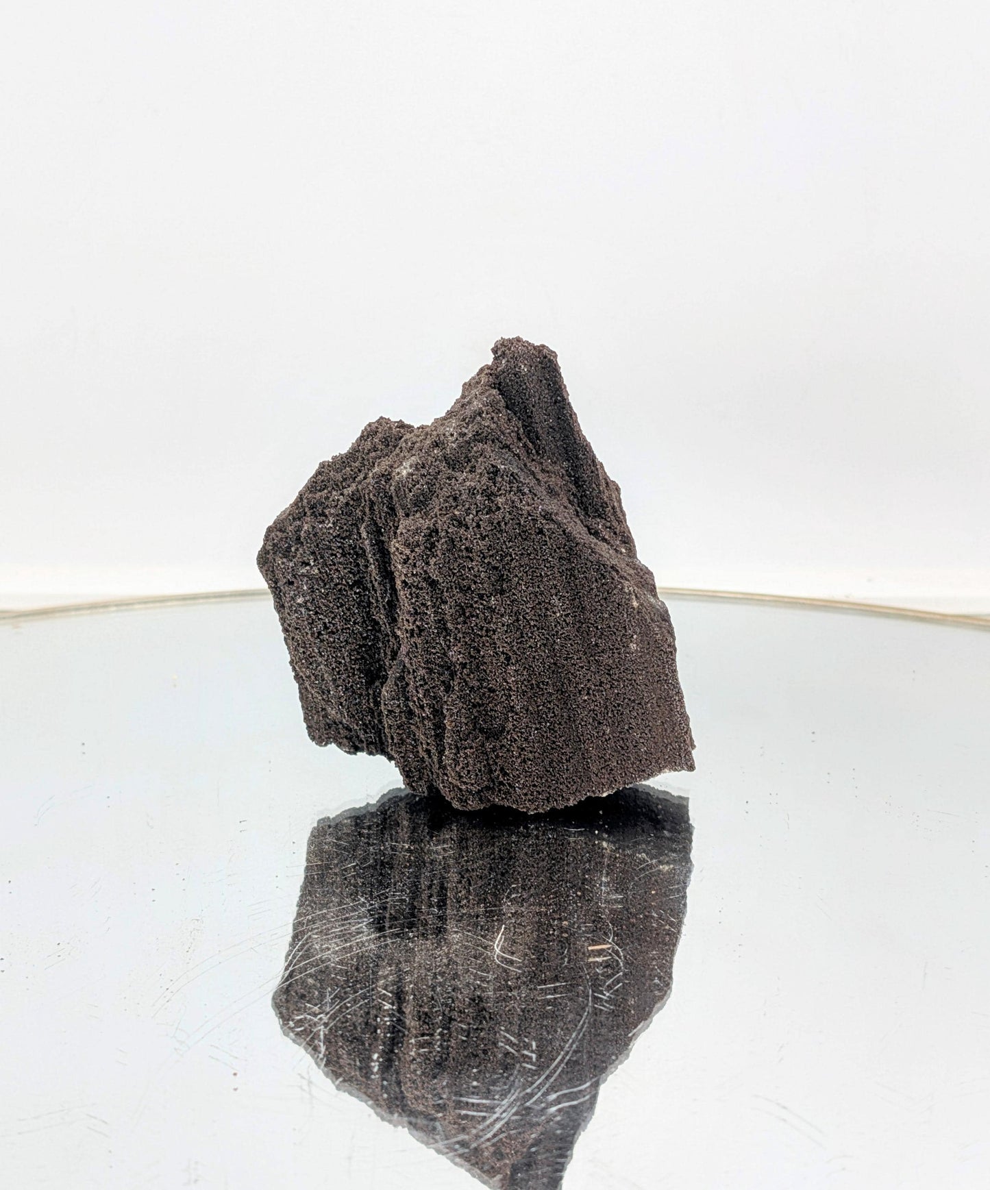 Rare petrified wood with quartz druzy, a high-end decor statement.