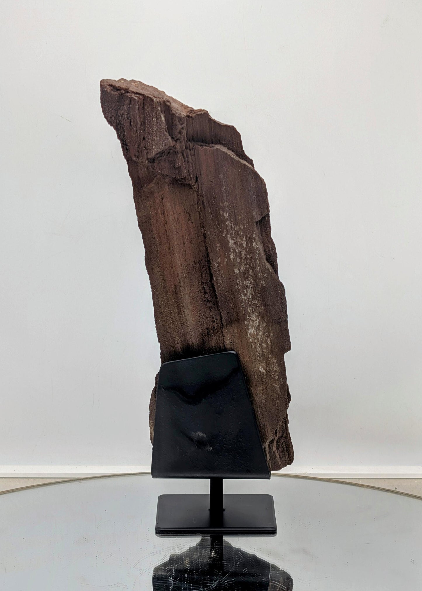 A historic fossil specimen—petrified wood covered in druzy quartz.