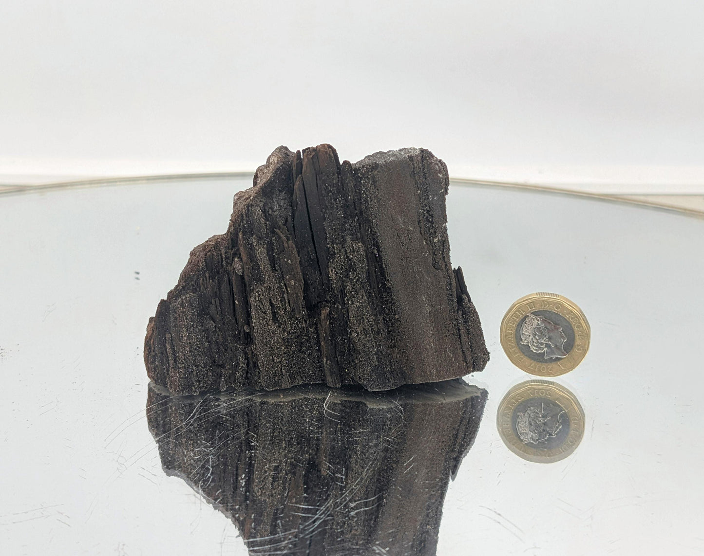 Luxury petrified wood fossil with druzy quartz for interior styling.