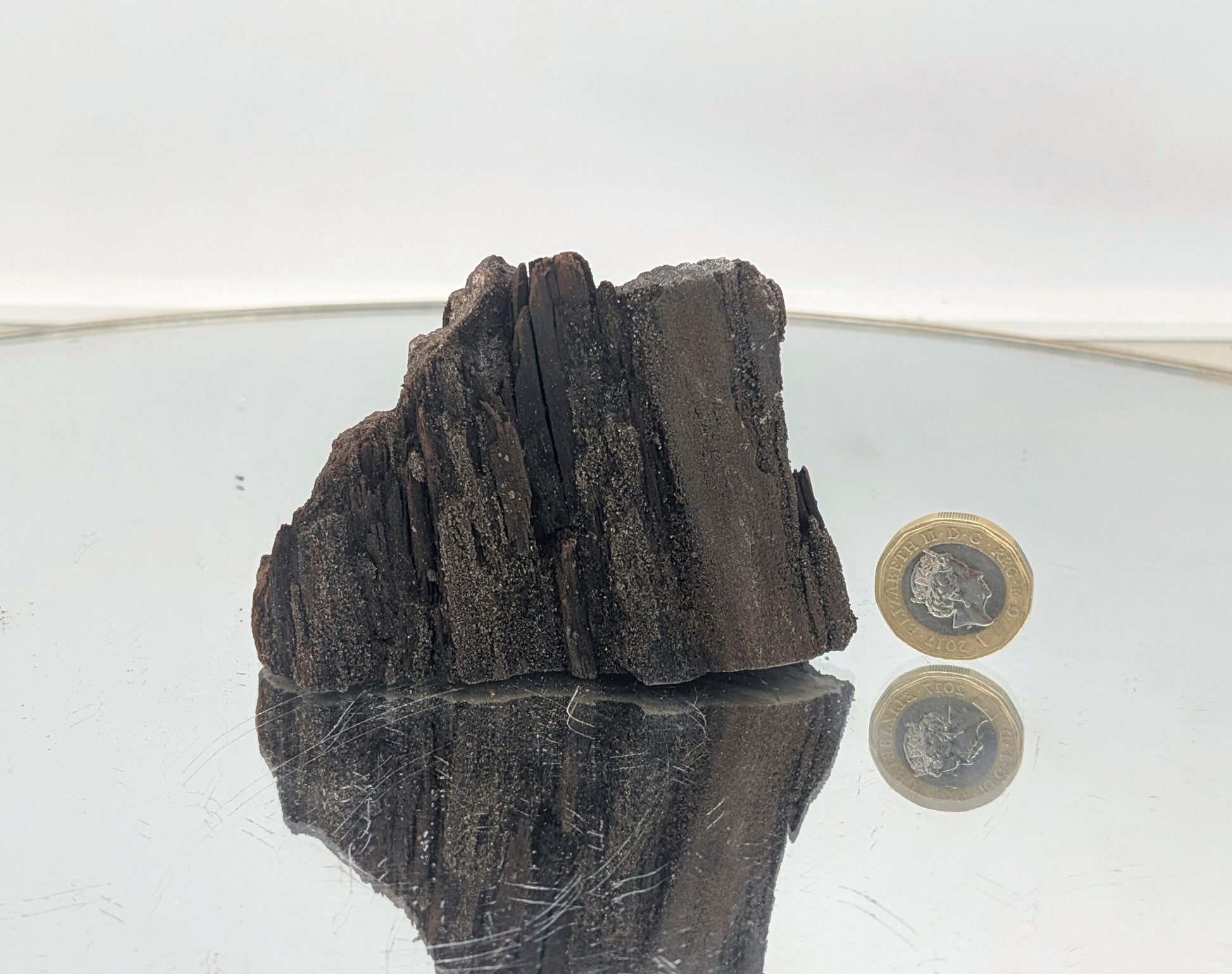 Luxury petrified wood fossil with druzy quartz for interior styling.