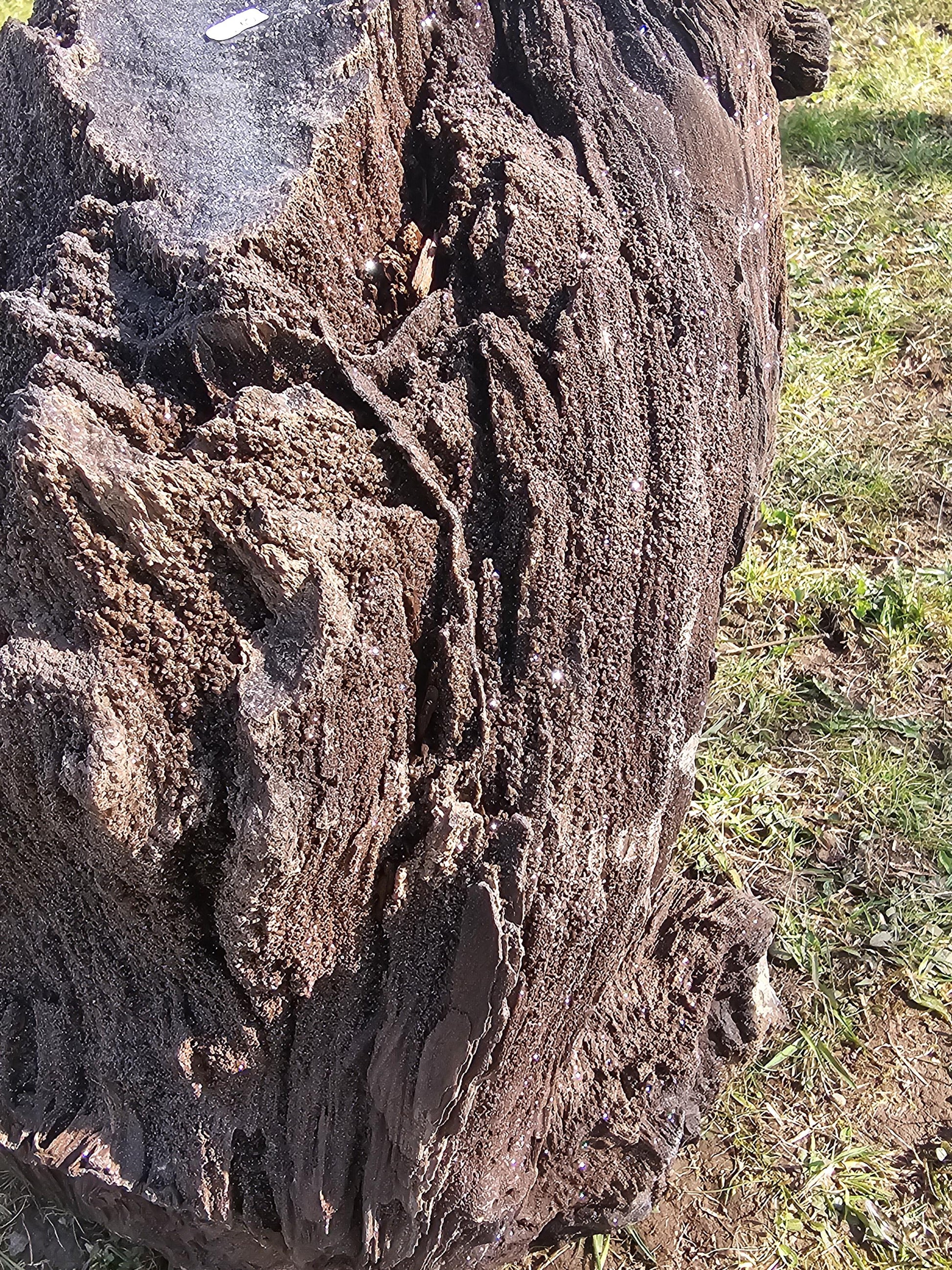 A very large petrified wood fossil with brilliant quartz druzy, perfect for interior decor.