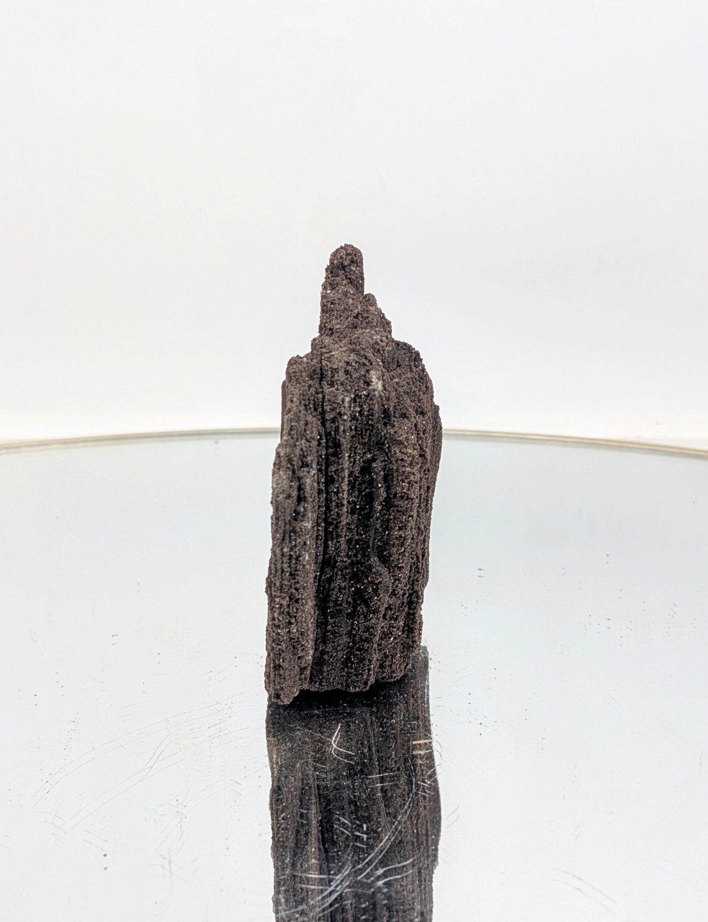 35-million-year-old luxury petrified wood with druzy quartz.