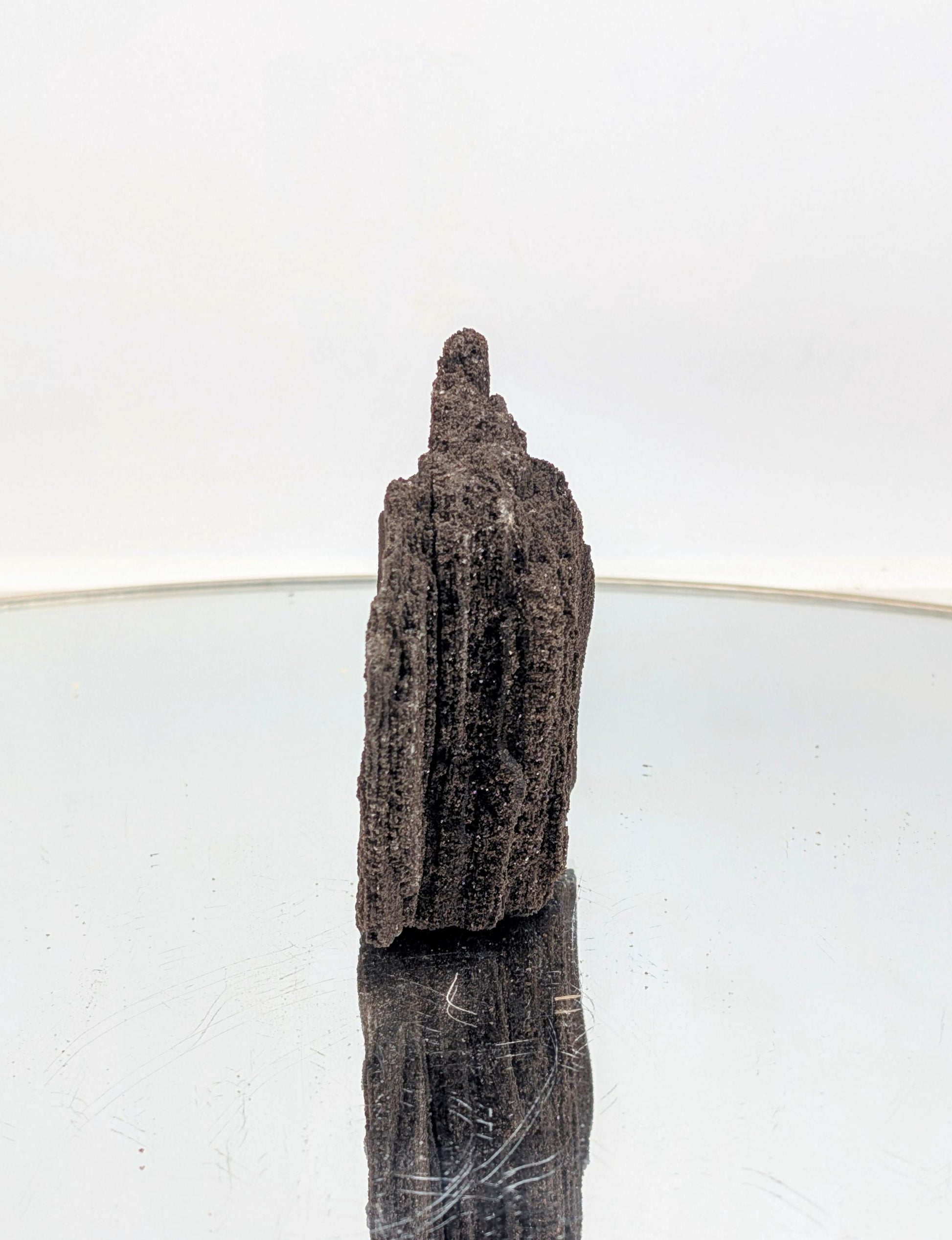 35-million-year-old luxury petrified wood with druzy quartz.