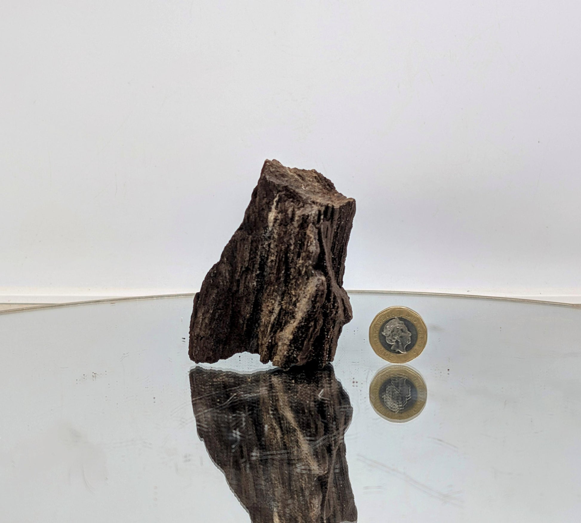 Unique mineral specimen—petrified wood covered in quartz druzy.