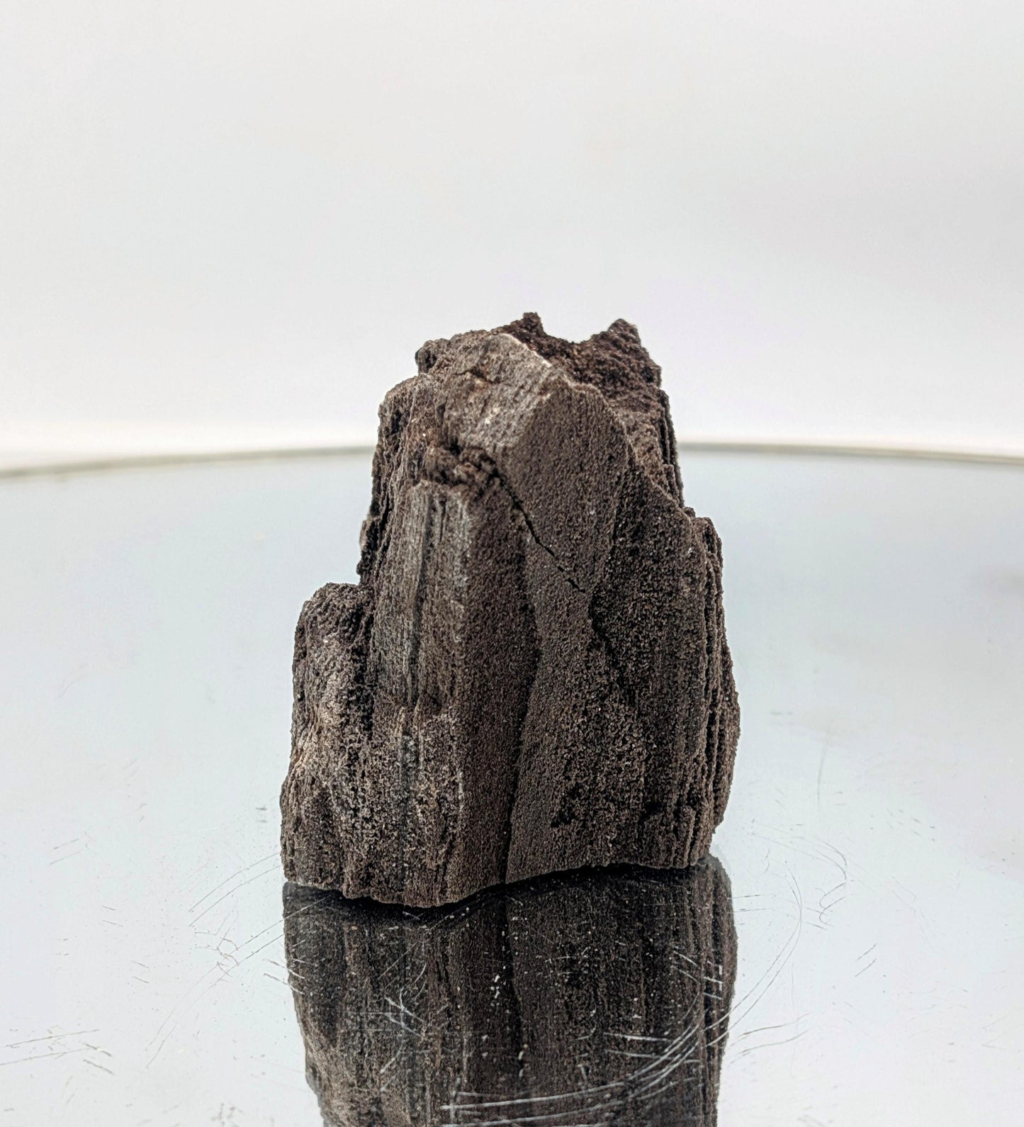 Museum-quality petrified wood fossil with druzy quartz formations.