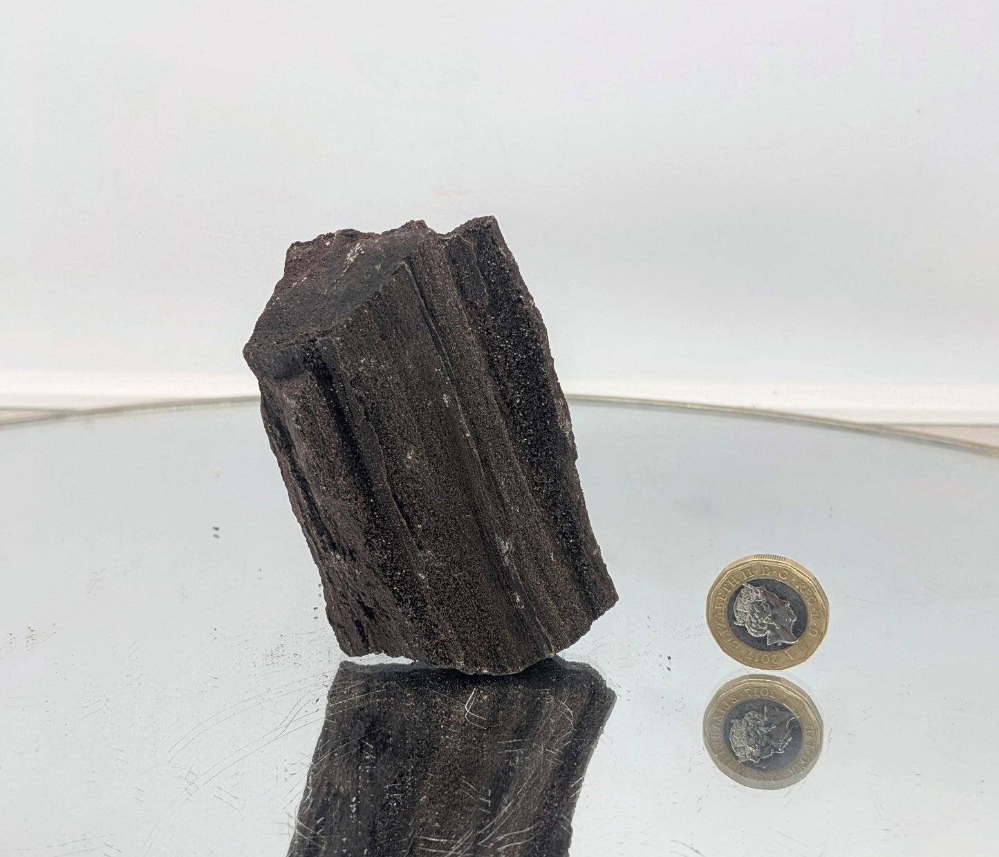 A natural crystal wonder—petrified wood covered in quartz druzy.