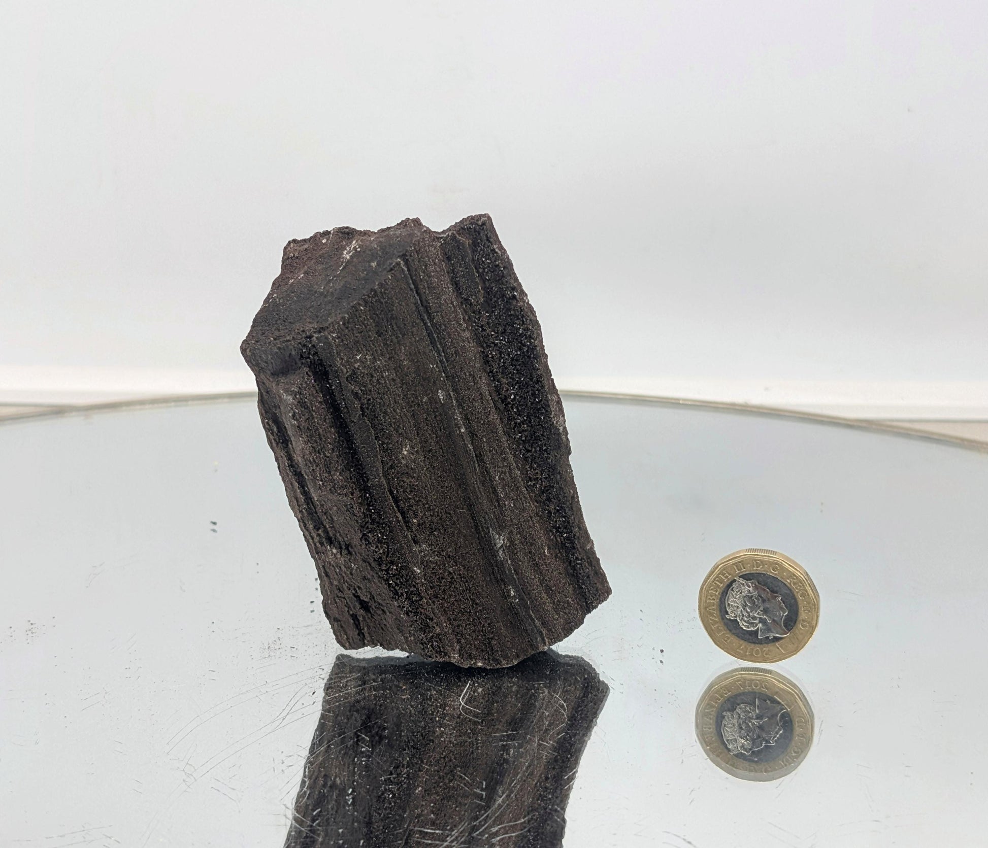 A natural crystal wonder—petrified wood covered in quartz druzy.