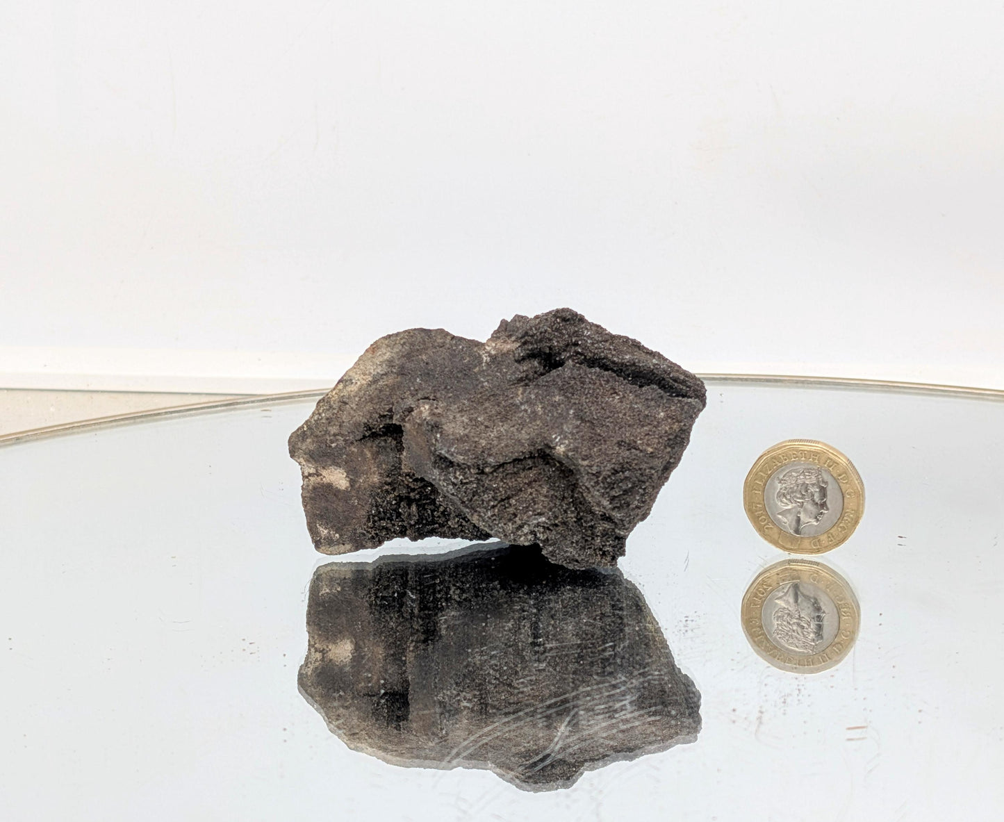 Naturally formed quartz druzy covering a fossilized wood specimen.