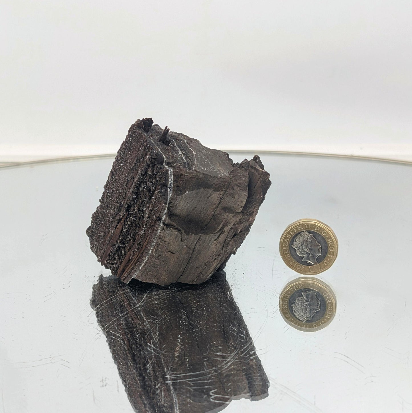 Naturally formed quartz druzy covering a fossilized wood specimen.