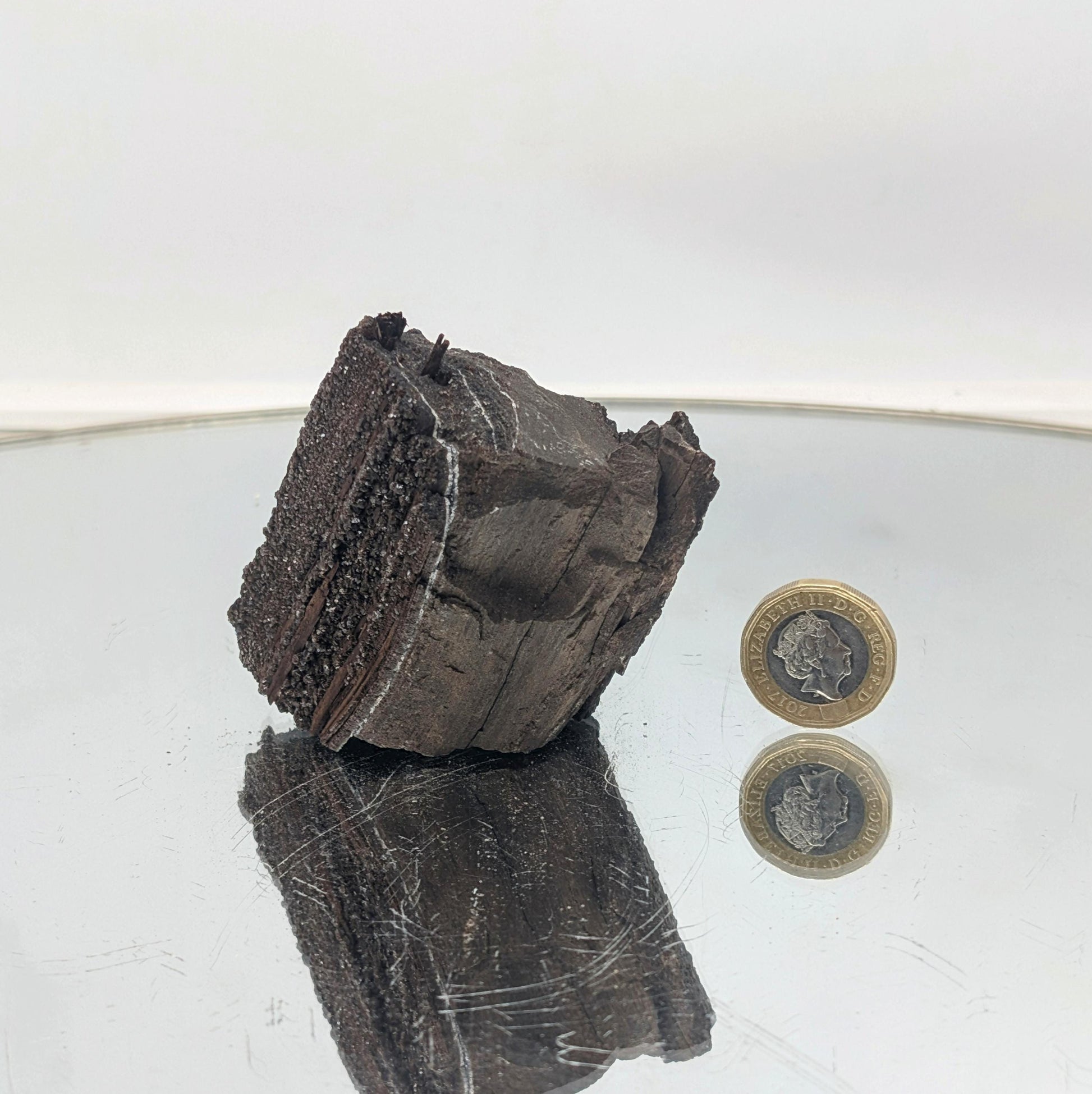 Naturally formed quartz druzy covering a fossilized wood specimen.