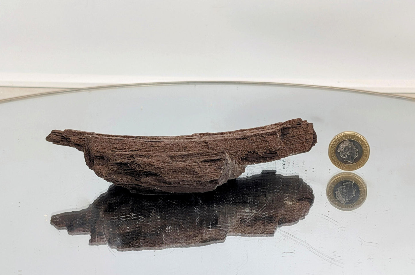 A rare natural wonder—petrified wood covered in quartz druzy.