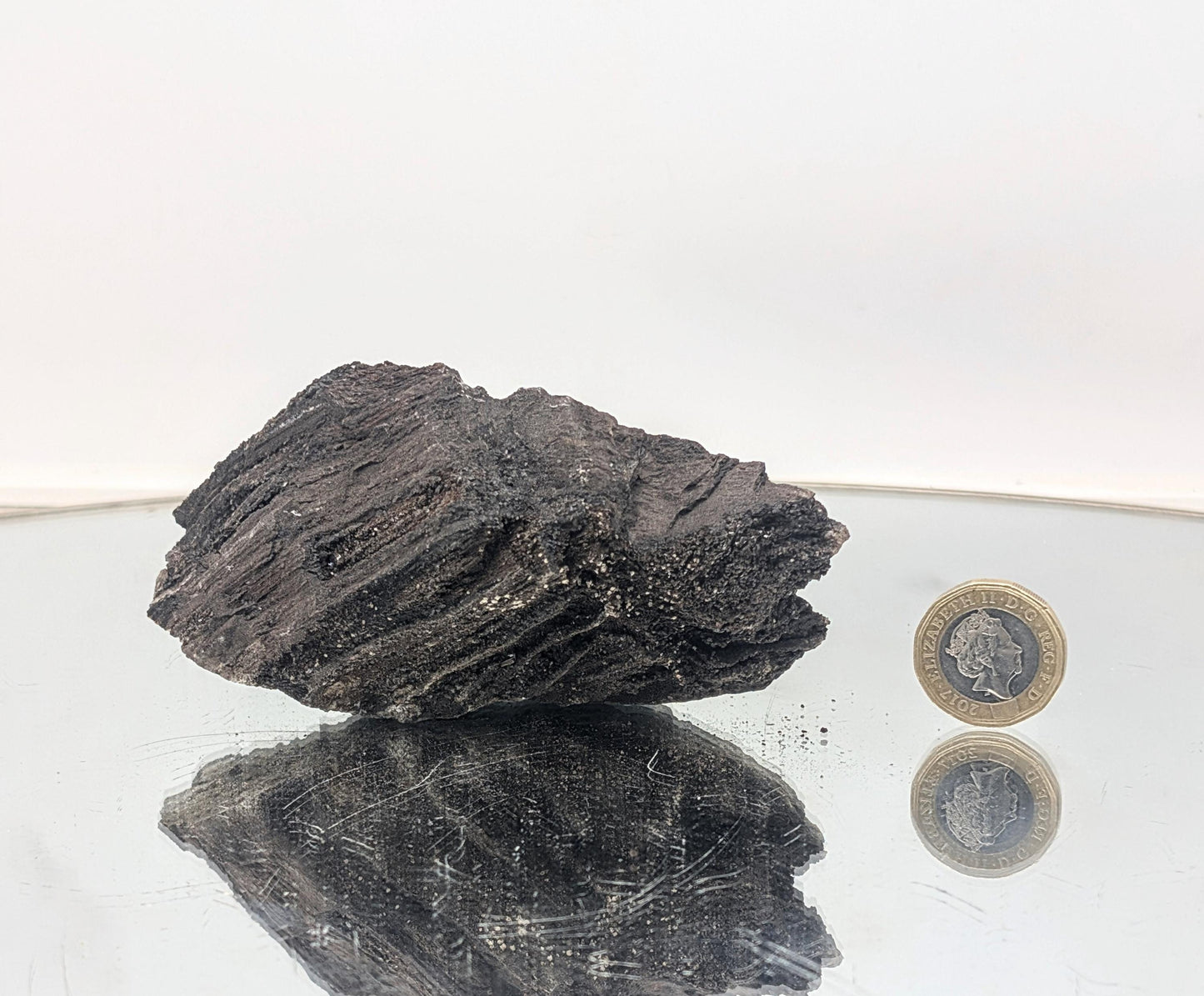 A one-of-a-kind nature art piece—petrified wood with druzy quartz.