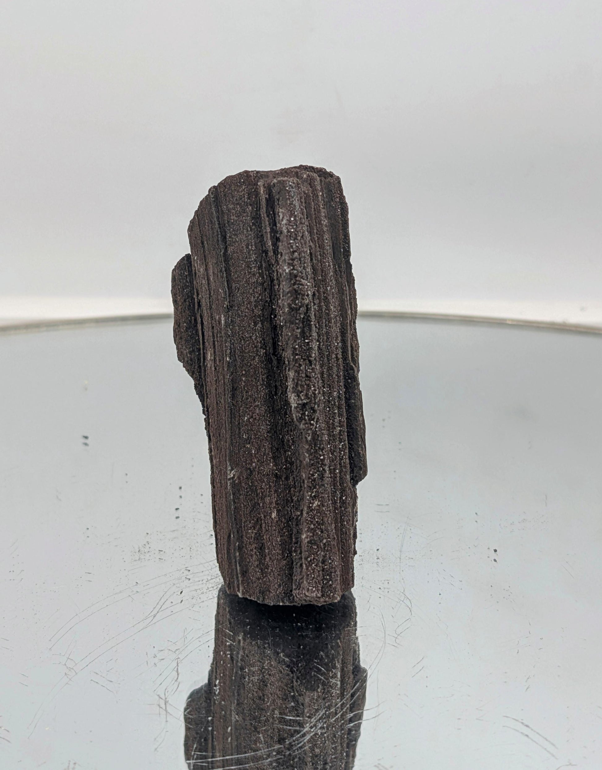 A breathtaking fusion of nature and art—petrified wood with druzy.