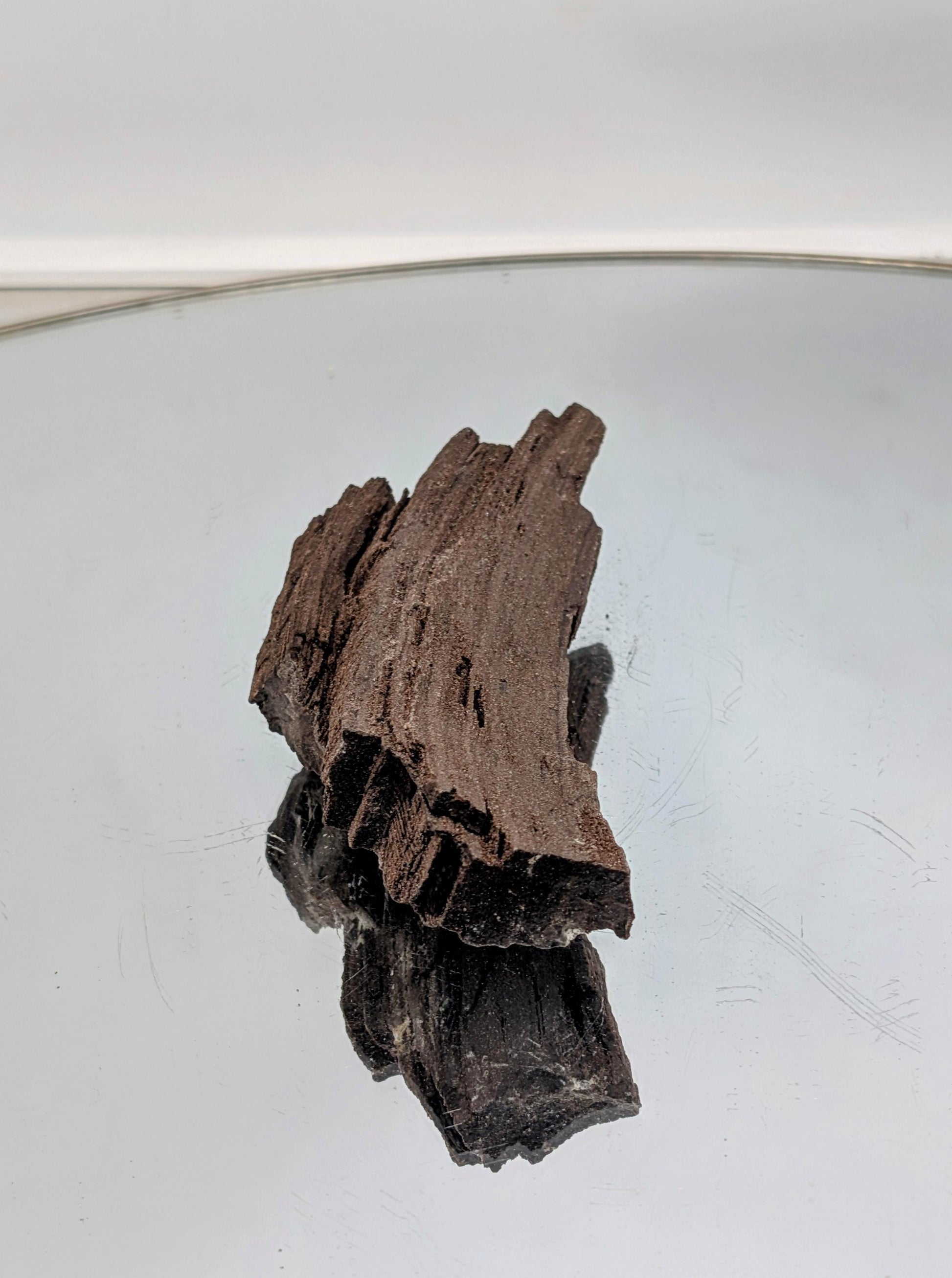 Polished petrified wood fossil with sparkling quartz druzy crystals.