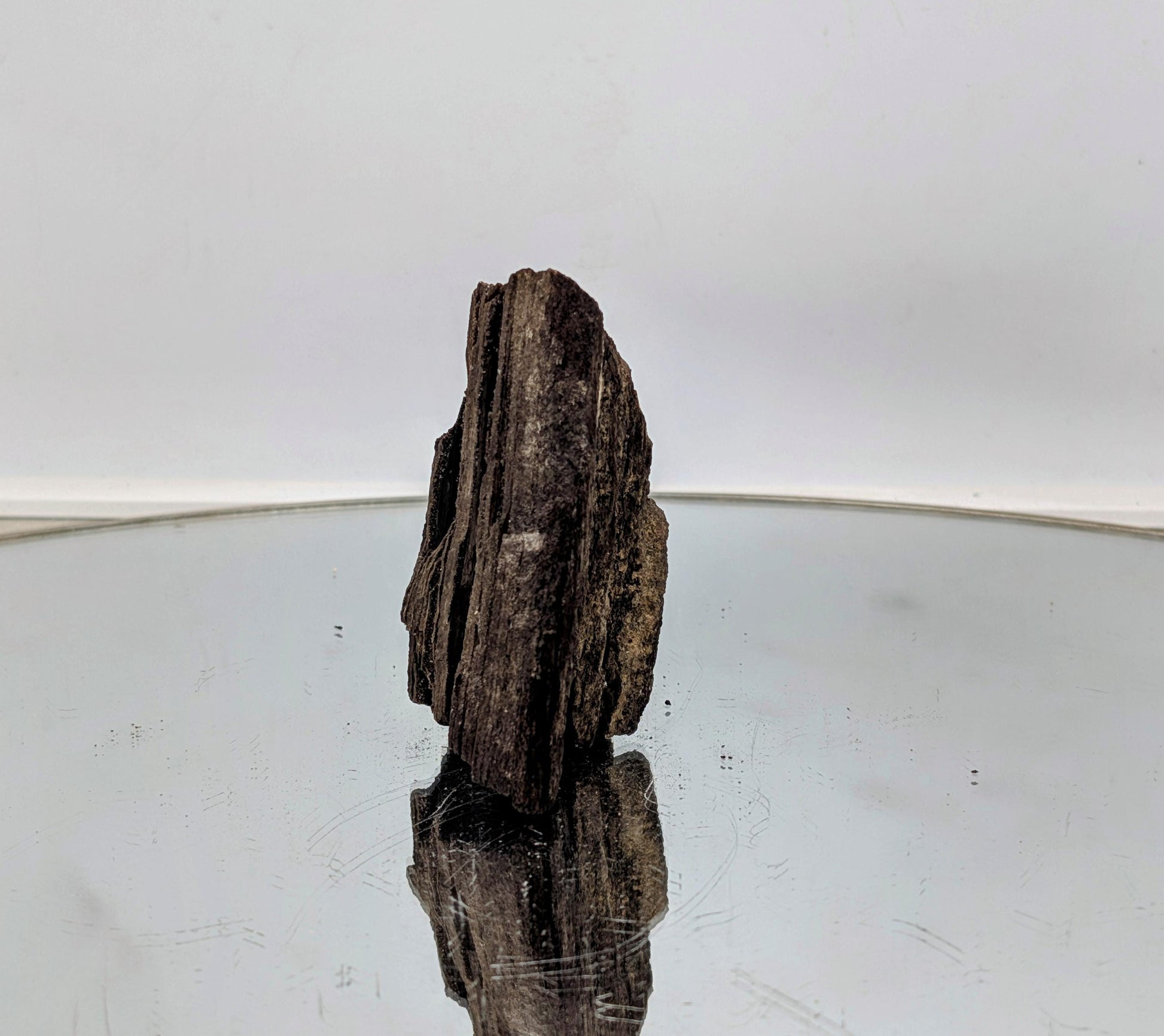 Luxury home decor piece: rare petrified wood with druzy quartz.