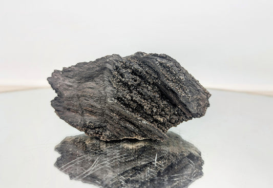 A rare mineral specimen—petrified wood with quartz druzy.