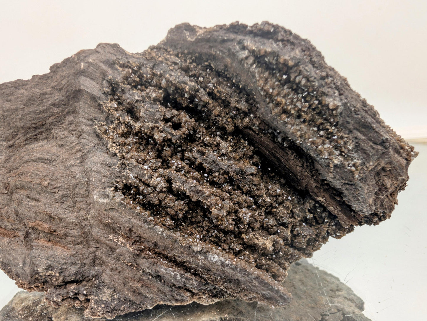 Sparkling quartz druzy covering ancient petrified wood.