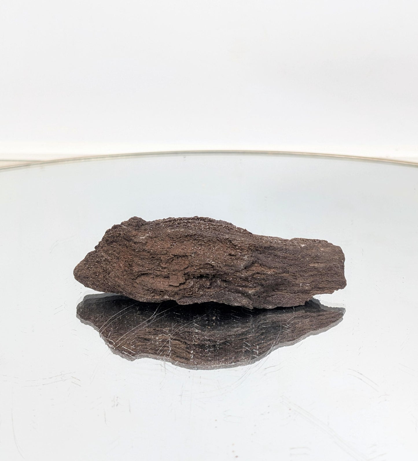 Sparkling quartz druzy covering ancient petrified wood.