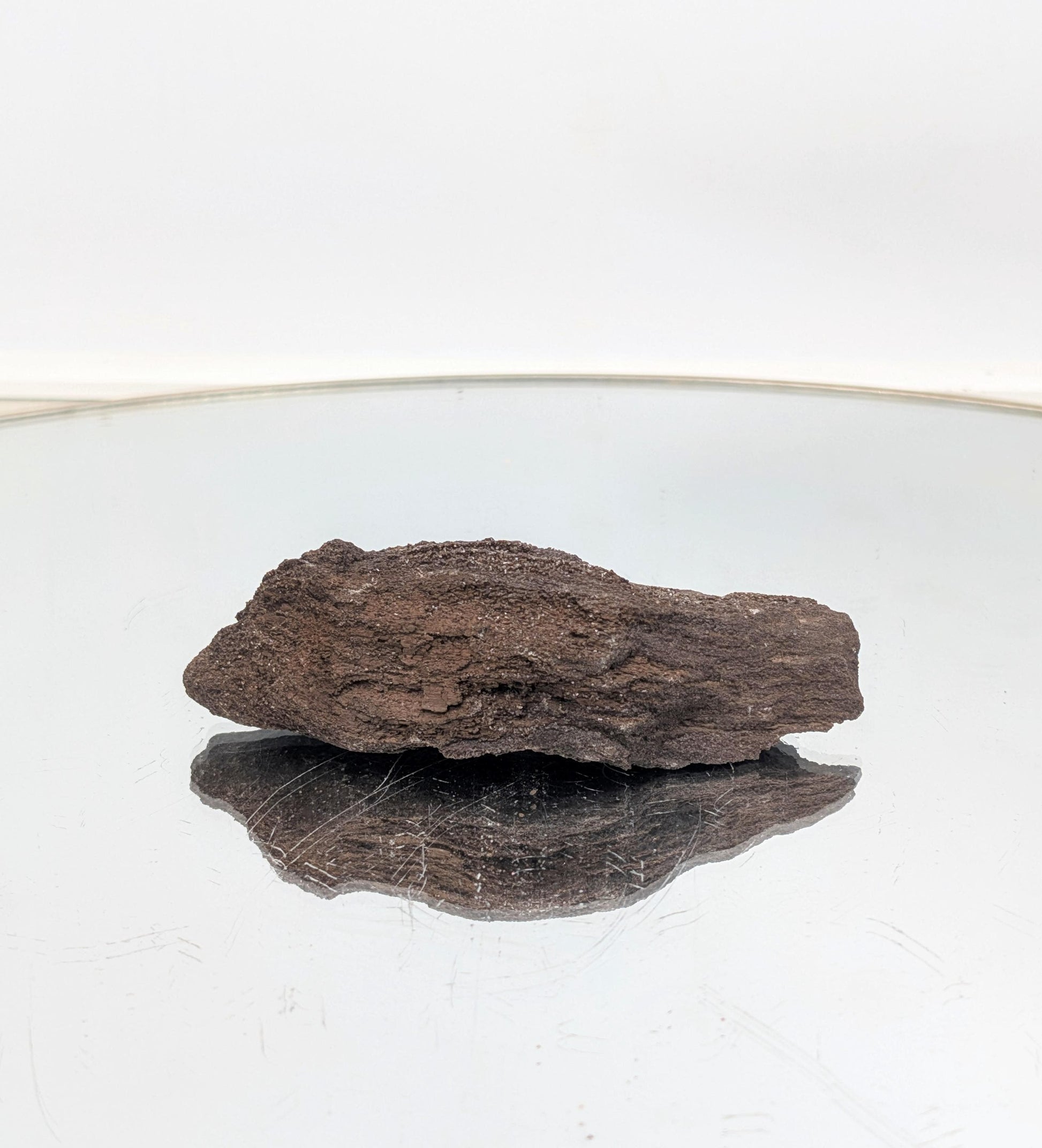 Sparkling quartz druzy covering ancient petrified wood.