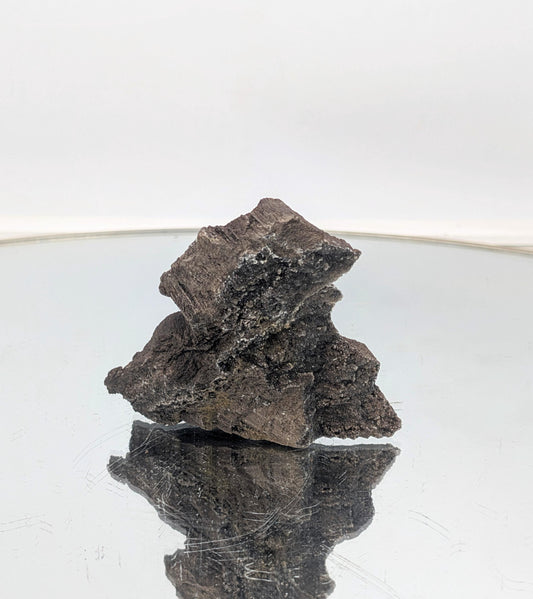 Luxury interior decor piece—petrified wood with shimmering quartz druzy.