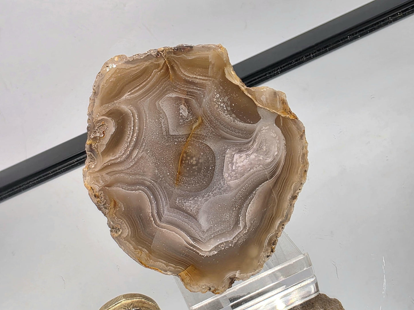 Polished Mexican Agate Geode with natural earthy colors.