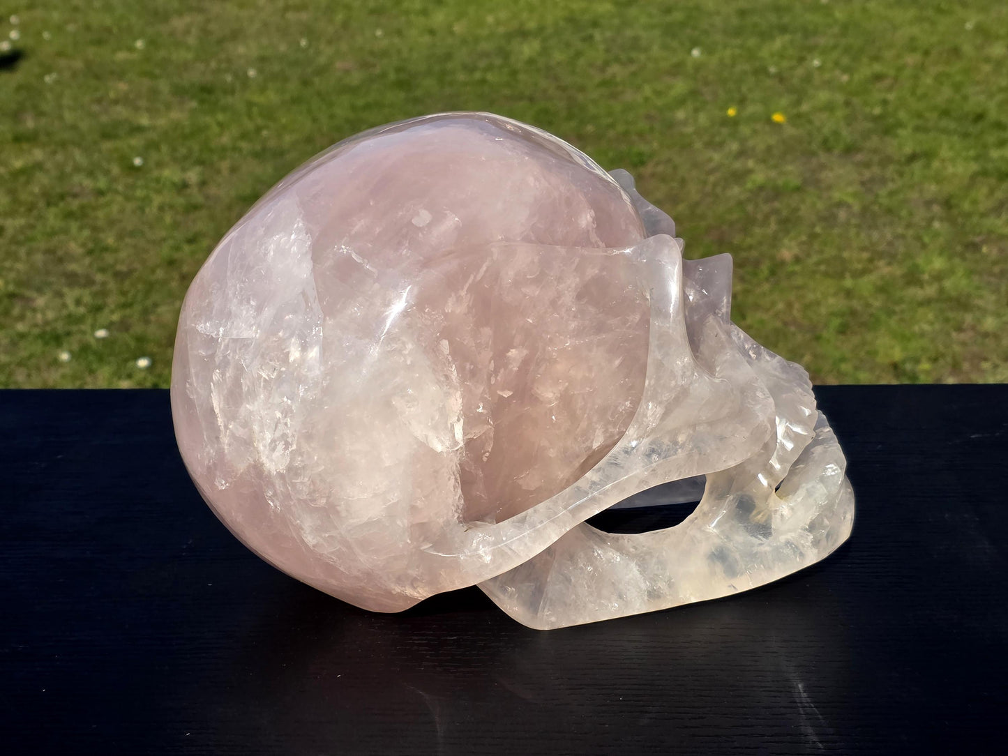 A polished Rose Quartz Skull, rare and large.