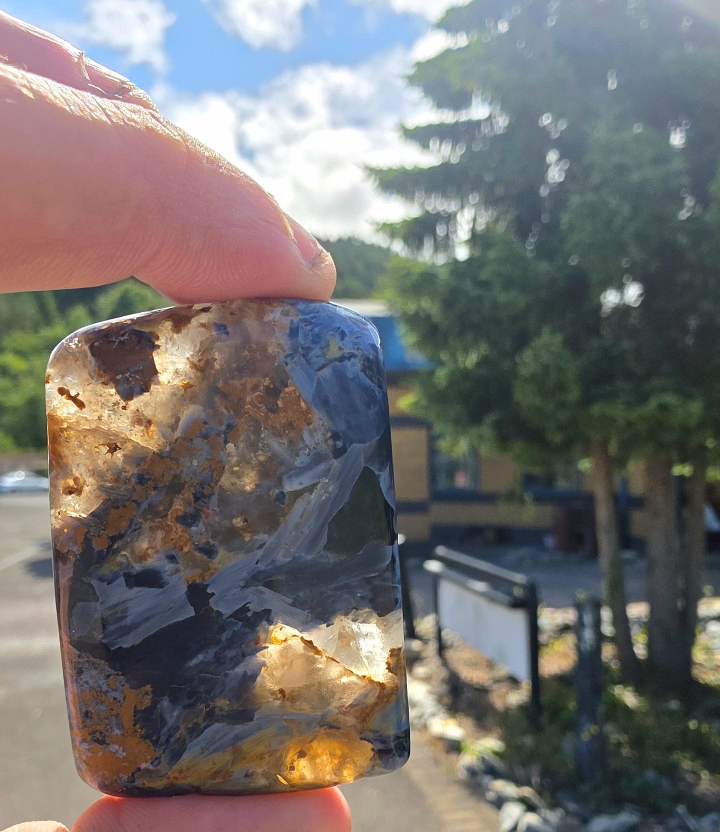 Premium Pietersite slice with quartz.