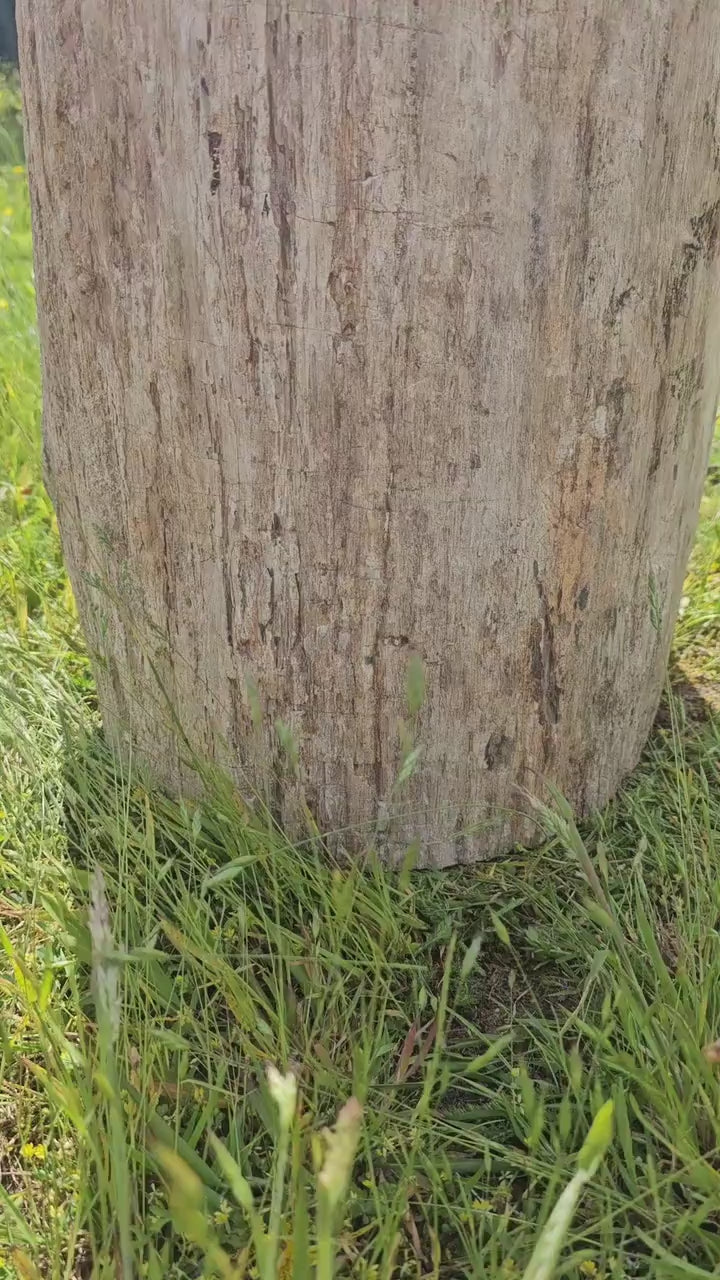 large petrified wood stool