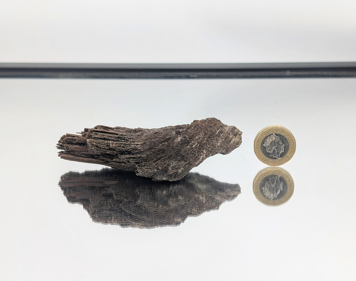Petrified wood specimen covered in quartz druzy, perfect for home or office decor.