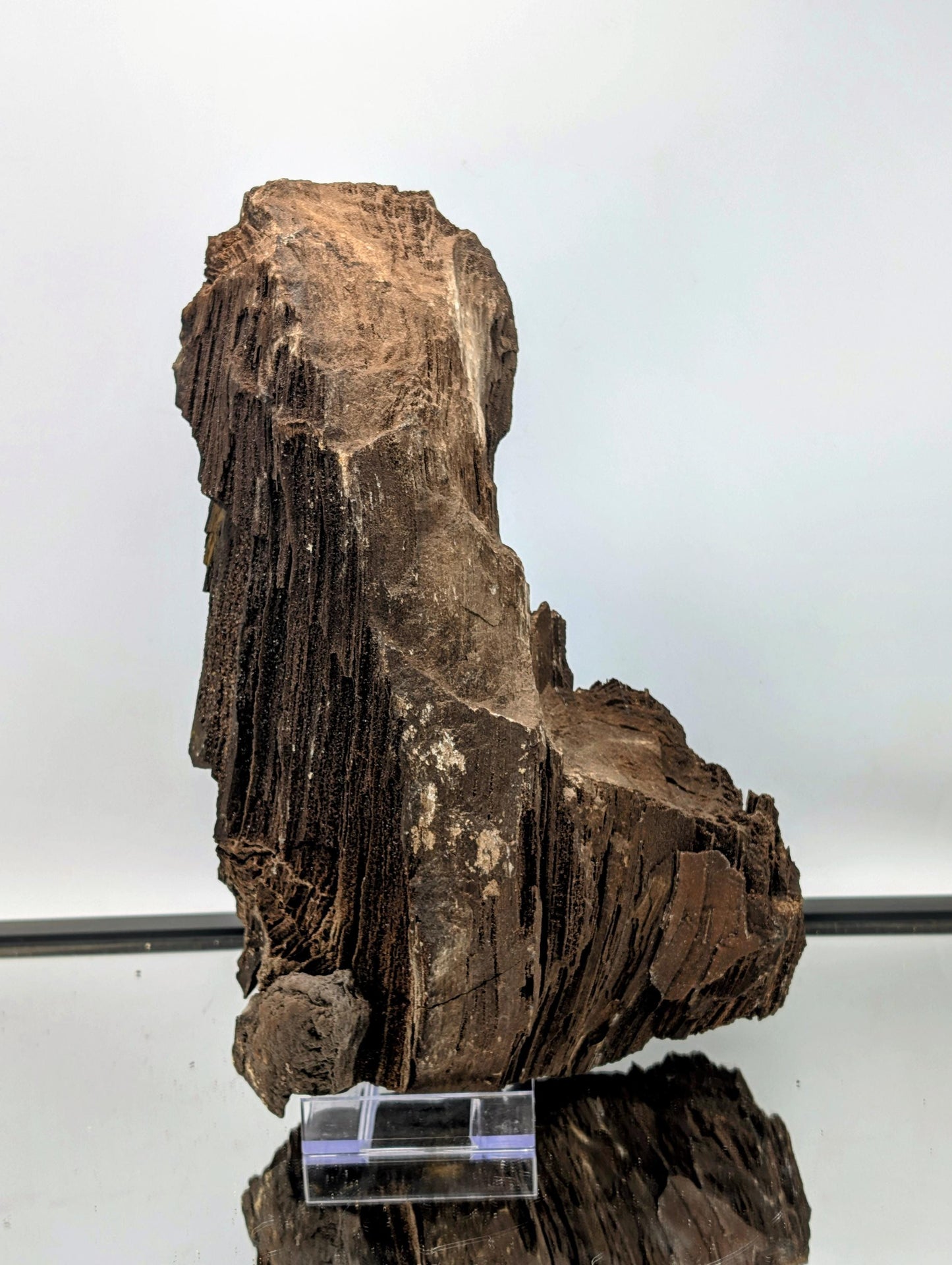 Luxury decor: petrified wood covered in quartz druzy crystals.