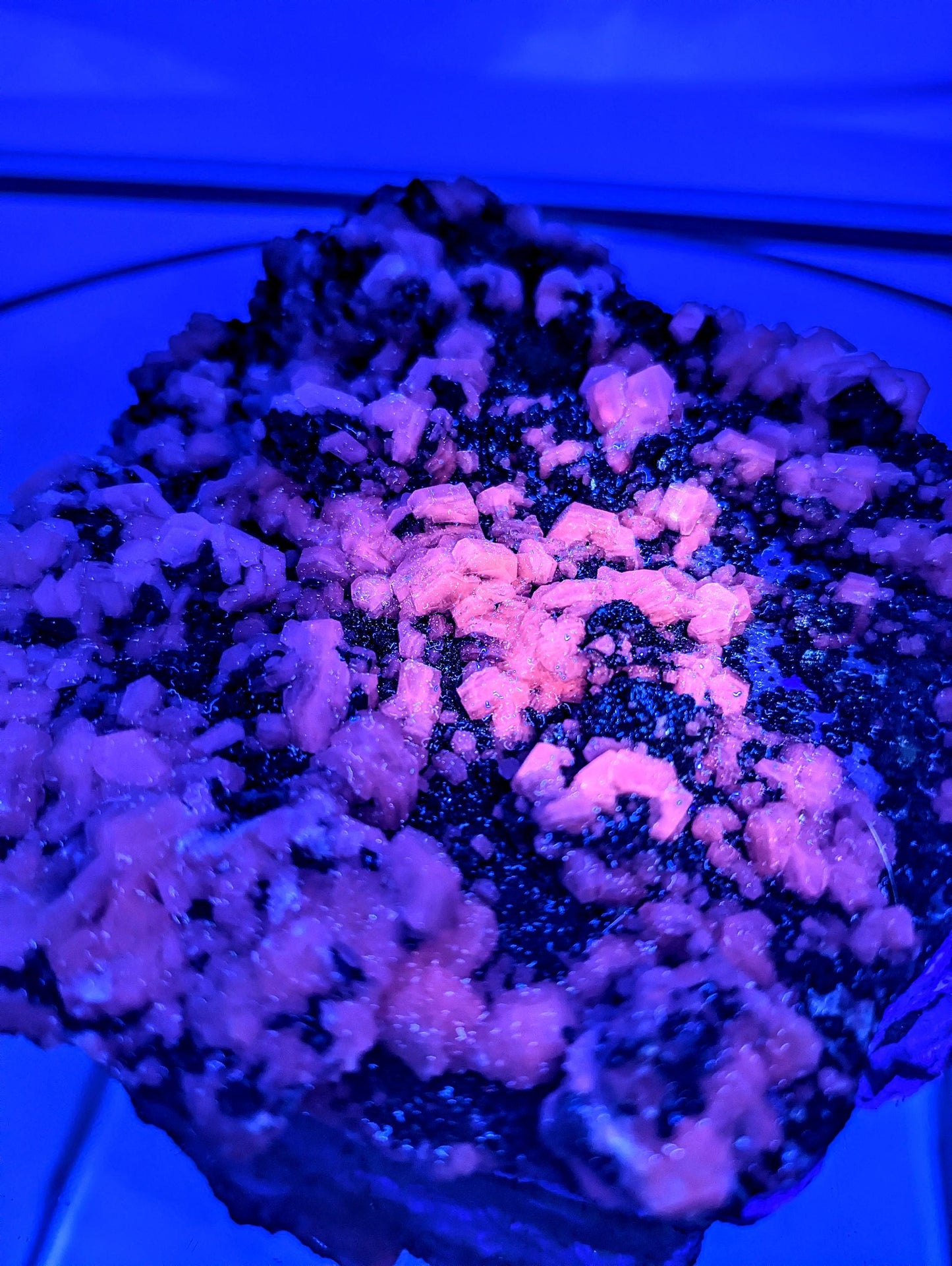 Rare and exceptional fluorite with chalcopyrite