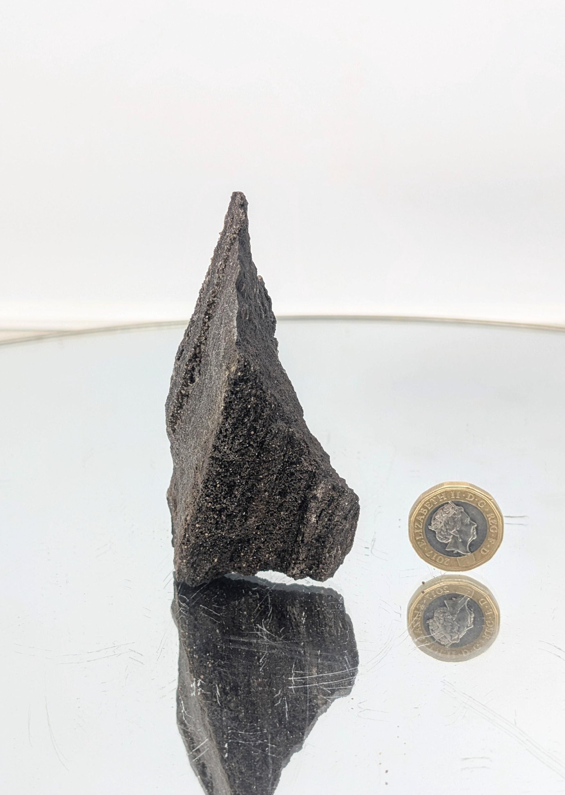 Rare German petrified wood fossil with exceptional quartz druzy crystal coverage.