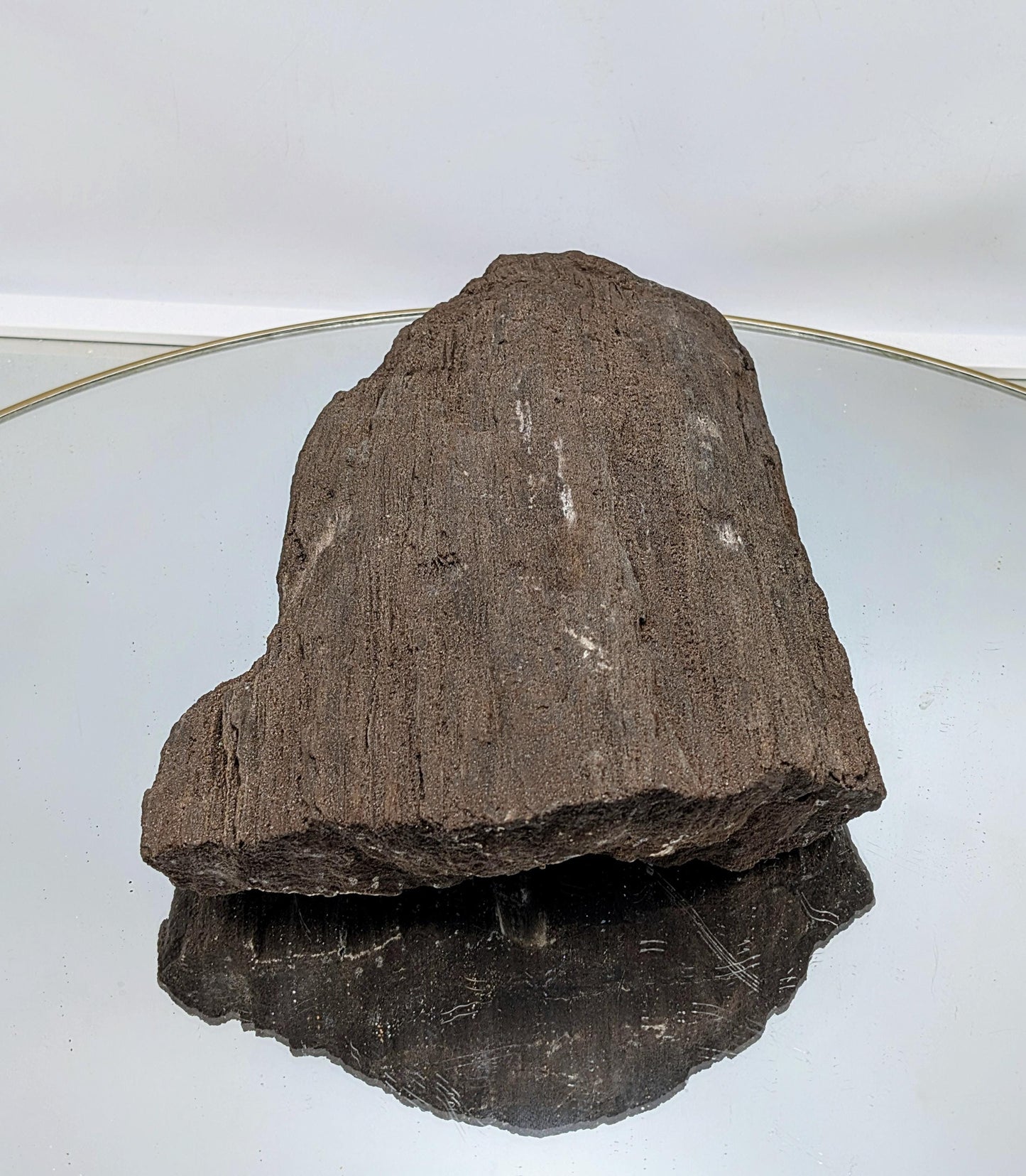 Rare permineralized fossil wood with preserved bark