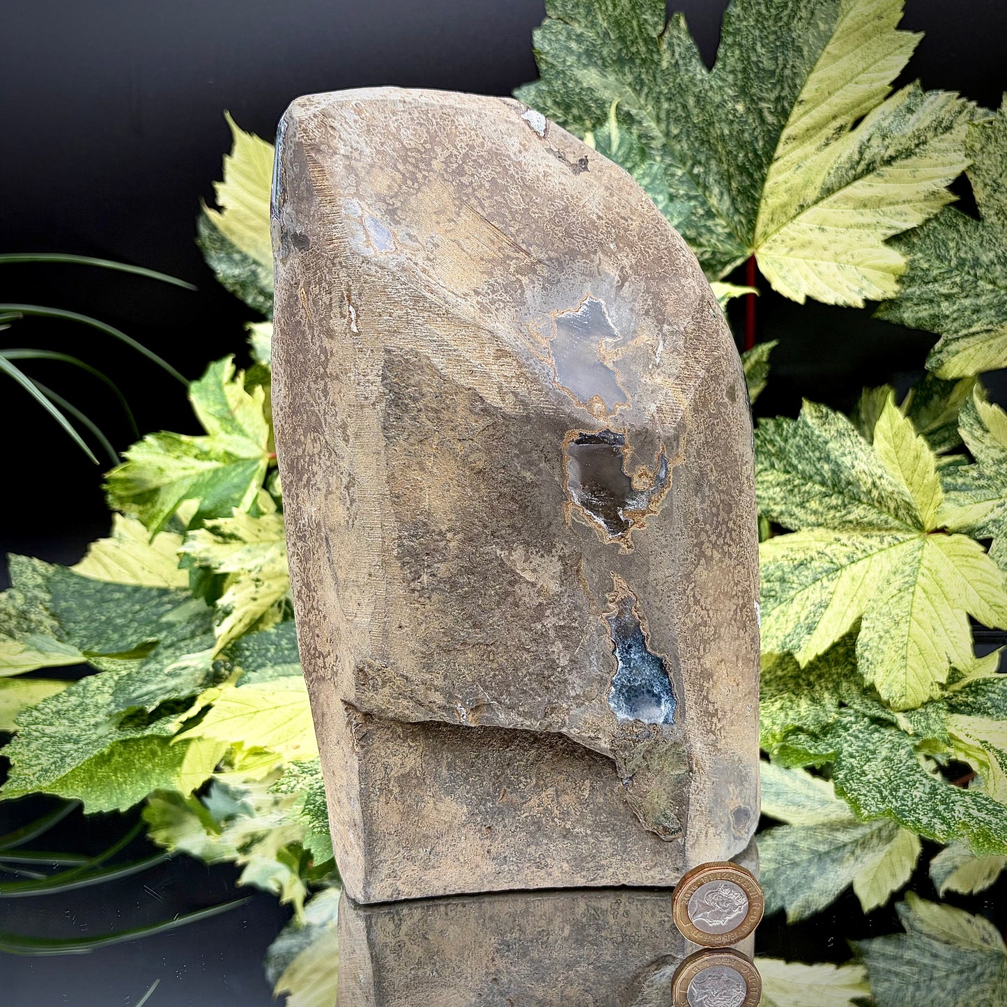 Reverse side of an Uruguayan amethyst crystal freeform showing the matrix and mineral formation.