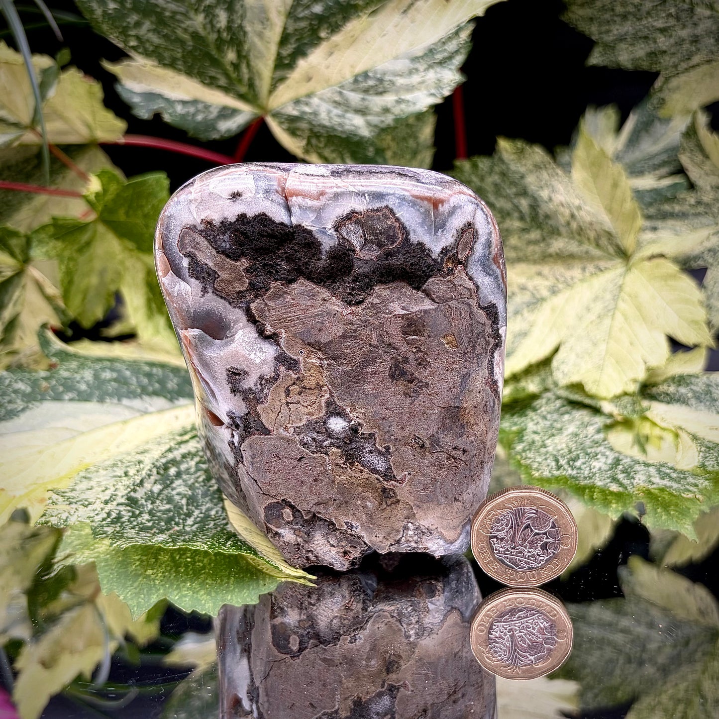 Reverse side of an Uruguayan amethyst crystal freeform showing the matrix and mineral formation.