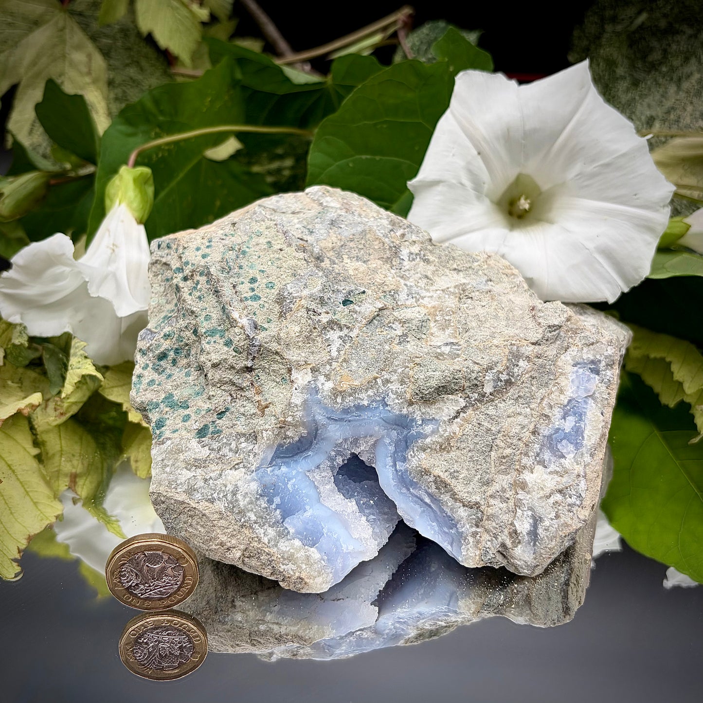 The rear side view of the Blue Lace Agate specimen, showcasing the rough, natural grey host rock and organic matrix texture.