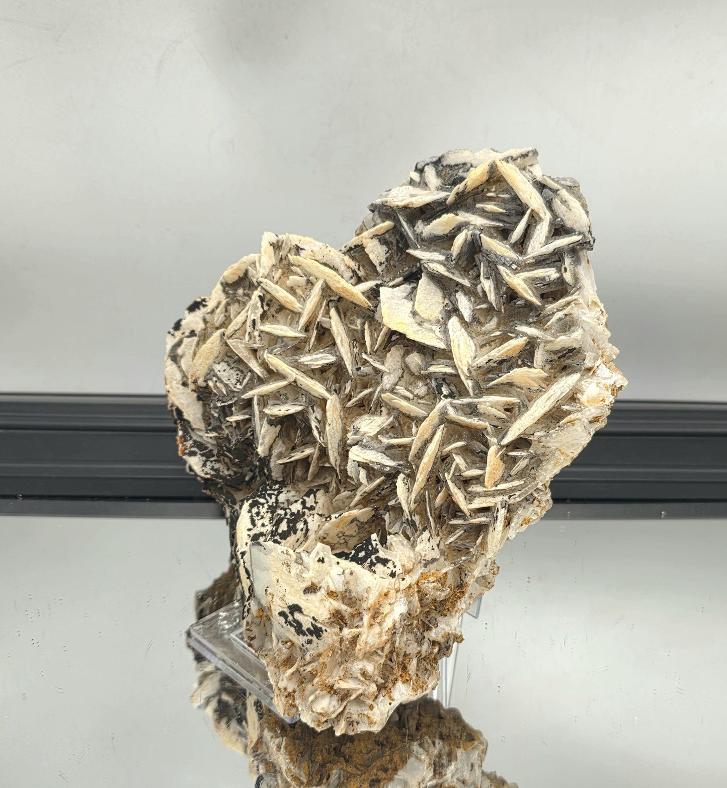 flower-like Black Rose Baryte specimen for display